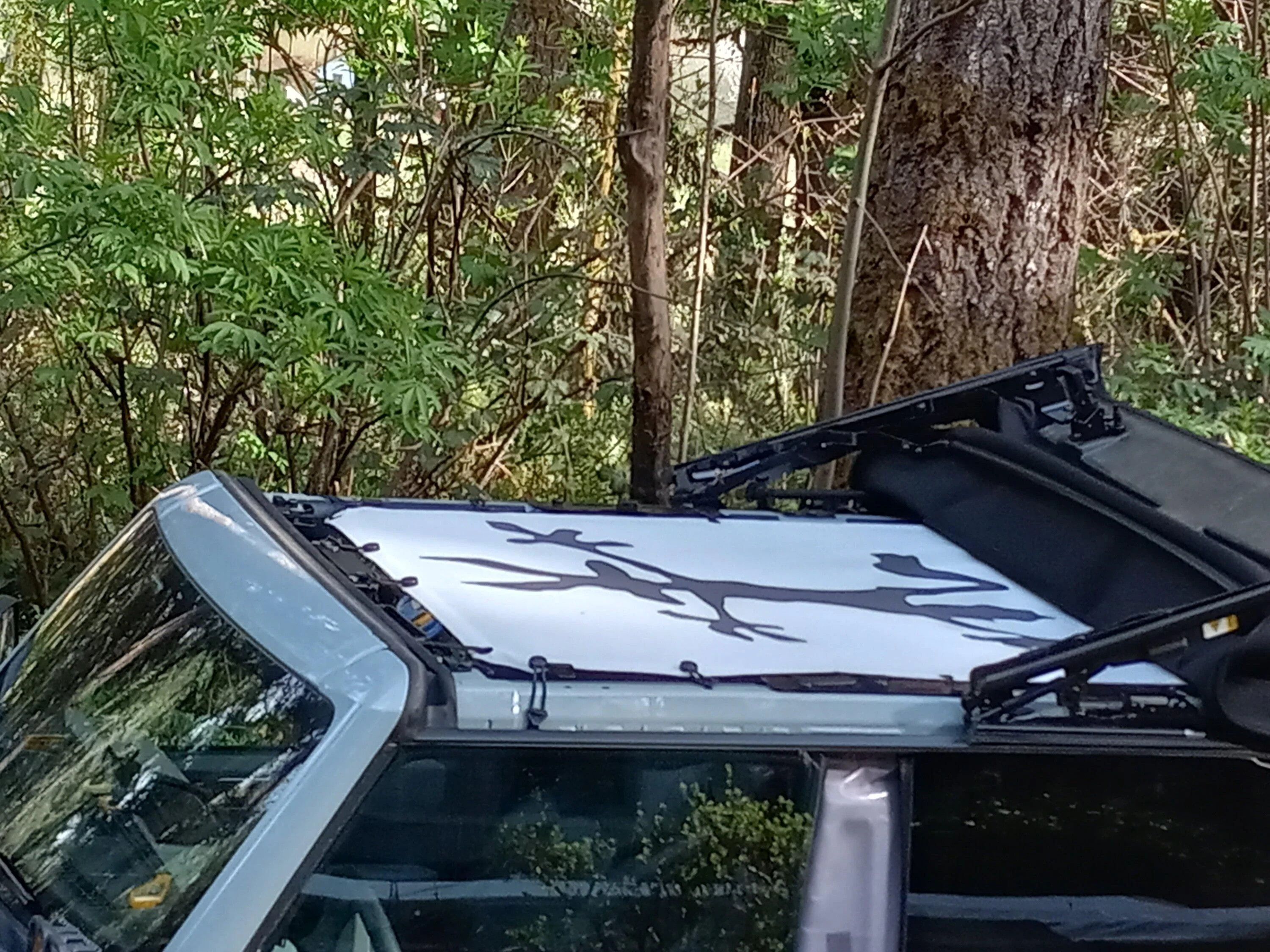 Ford Bronco Poll: Canvas or Mesh Bimini Top? 20230430_171323