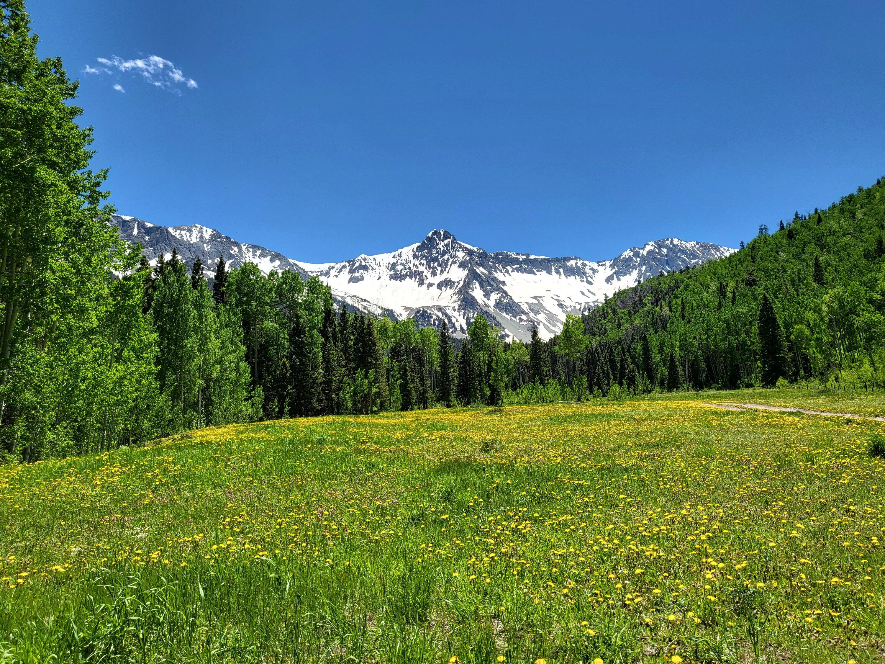 20230622_135521.jpg