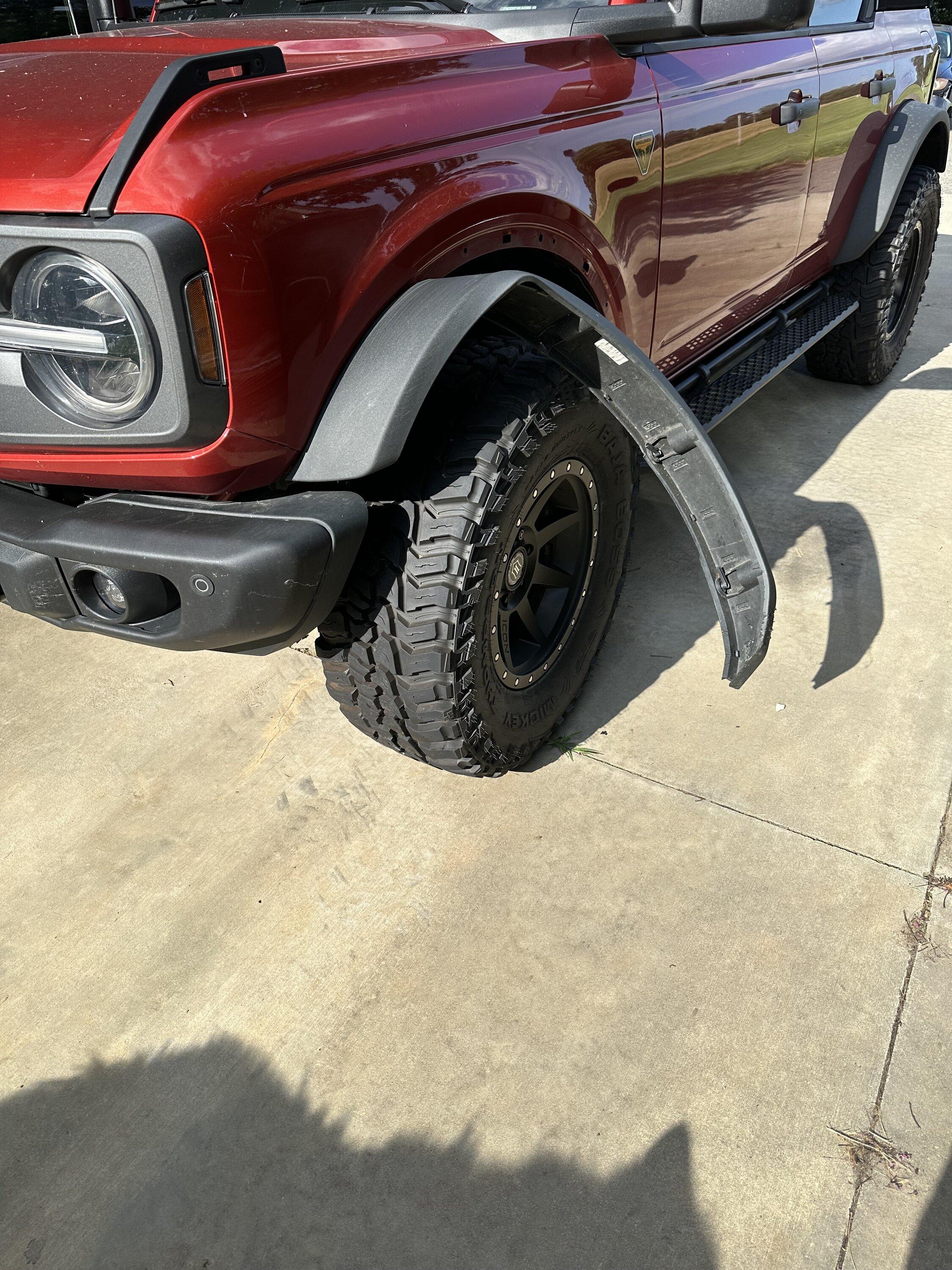 Ford Bronco When your dogs eat your bronco IMG_1256