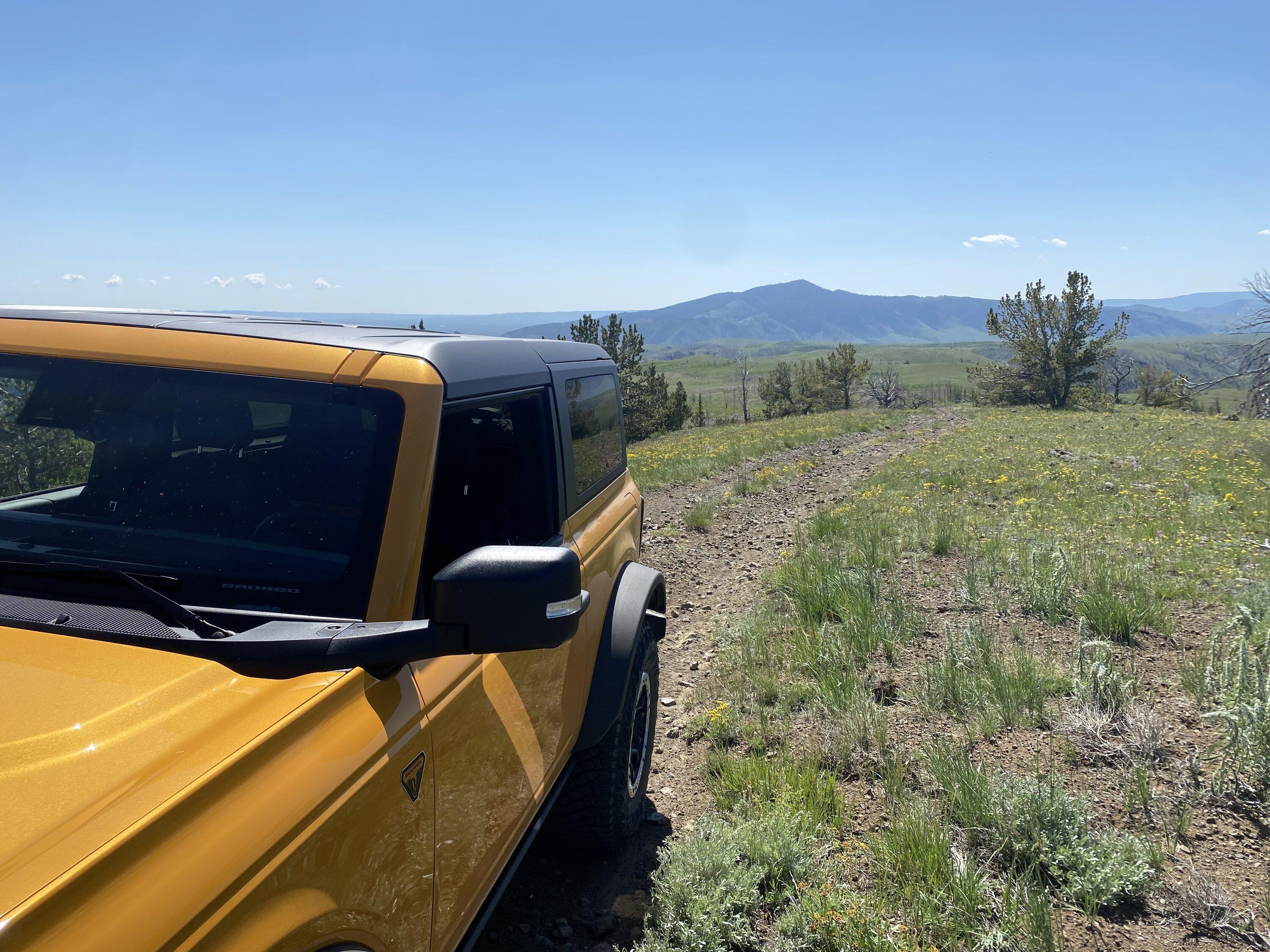Ford Bronco Not changing a dam thing build. IMG_3537