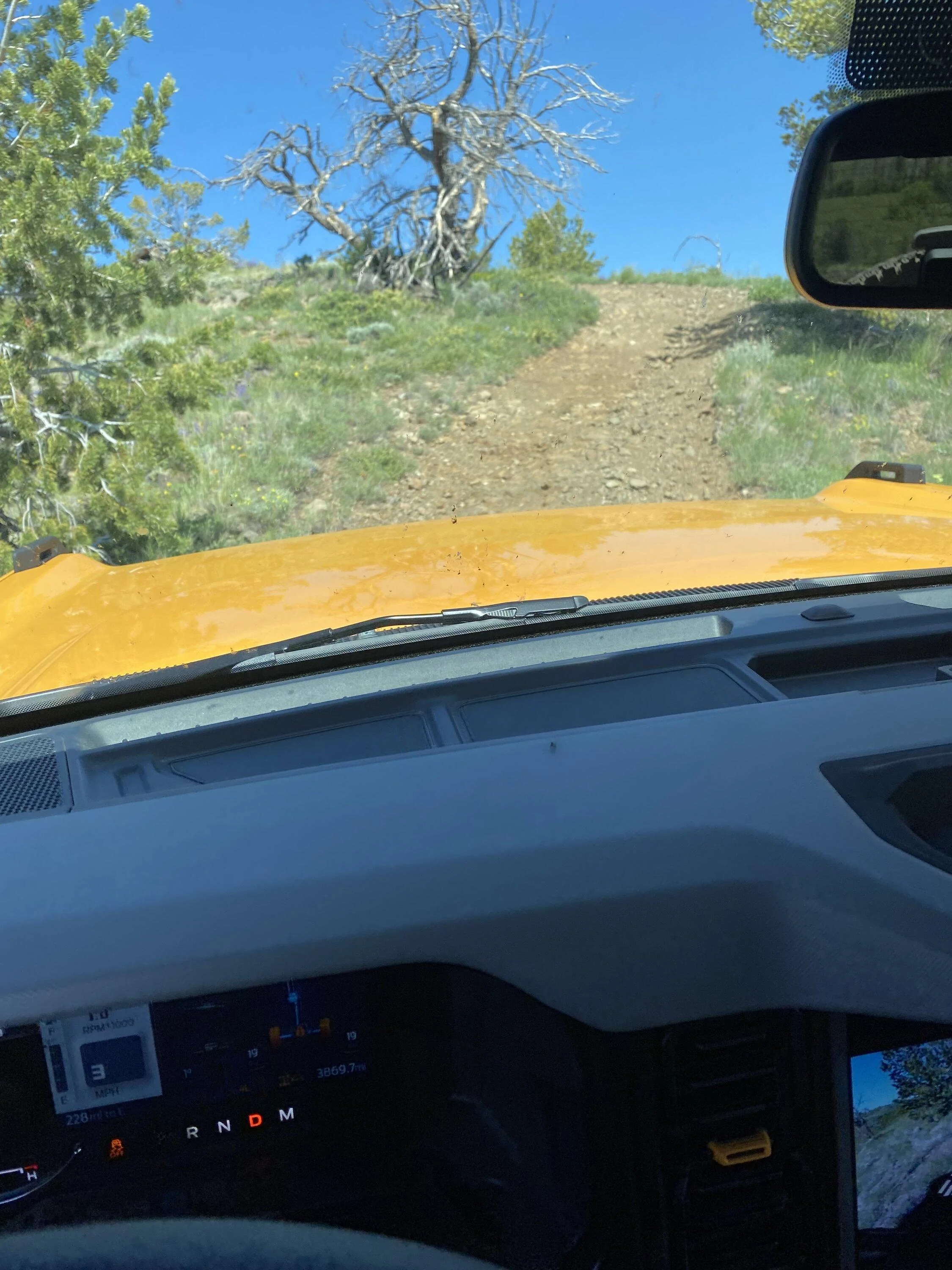 Ford Bronco Not changing a dam thing build. IMG_3536