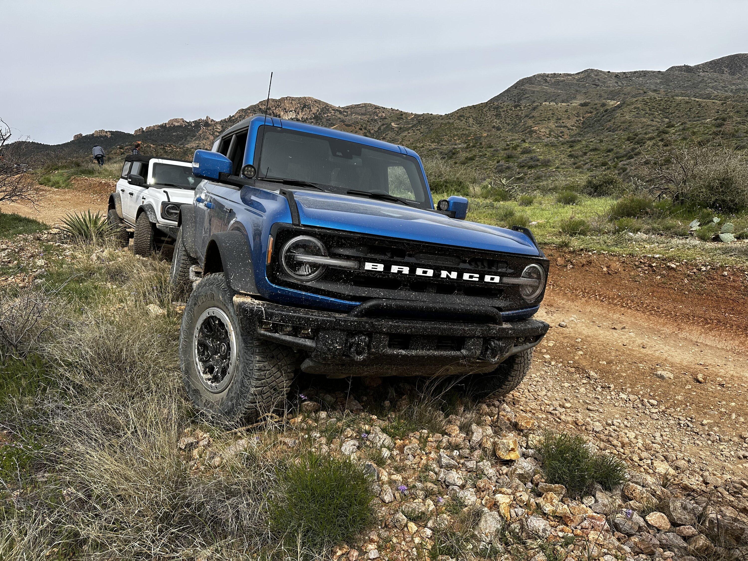 Ford Bronco Bronco P*RN IMG_1870