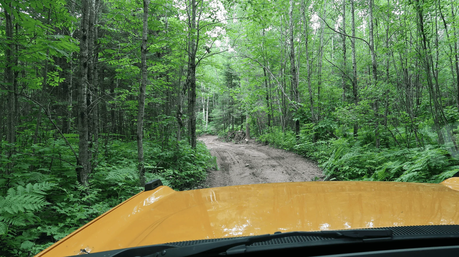 Ford Bronco Spider Lake and Iron Range OHV Trails (Minnesota) Trip dQyLtUr