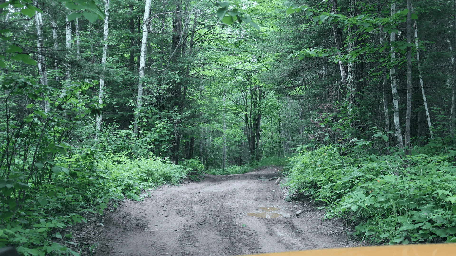 Ford Bronco Spider Lake and Iron Range OHV Trails (Minnesota) Trip ICMhYQ9