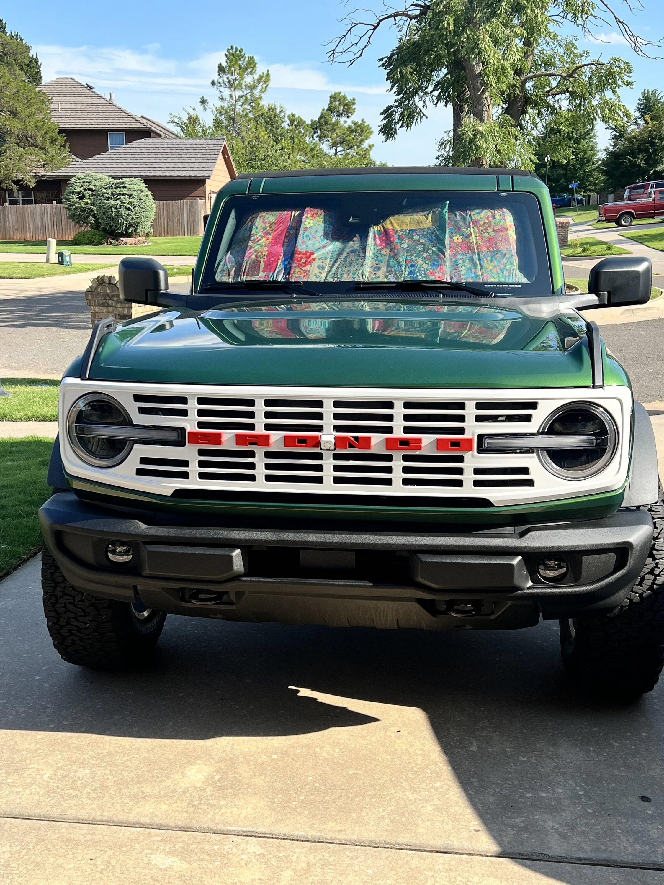 Ford Bronco Post Your Custom Bronco Grille! IMG_4872