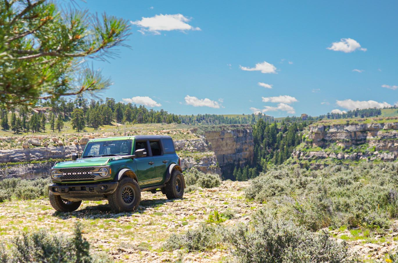 Ford Bronco ERUPTION GREEN Bronco Club DSC08440