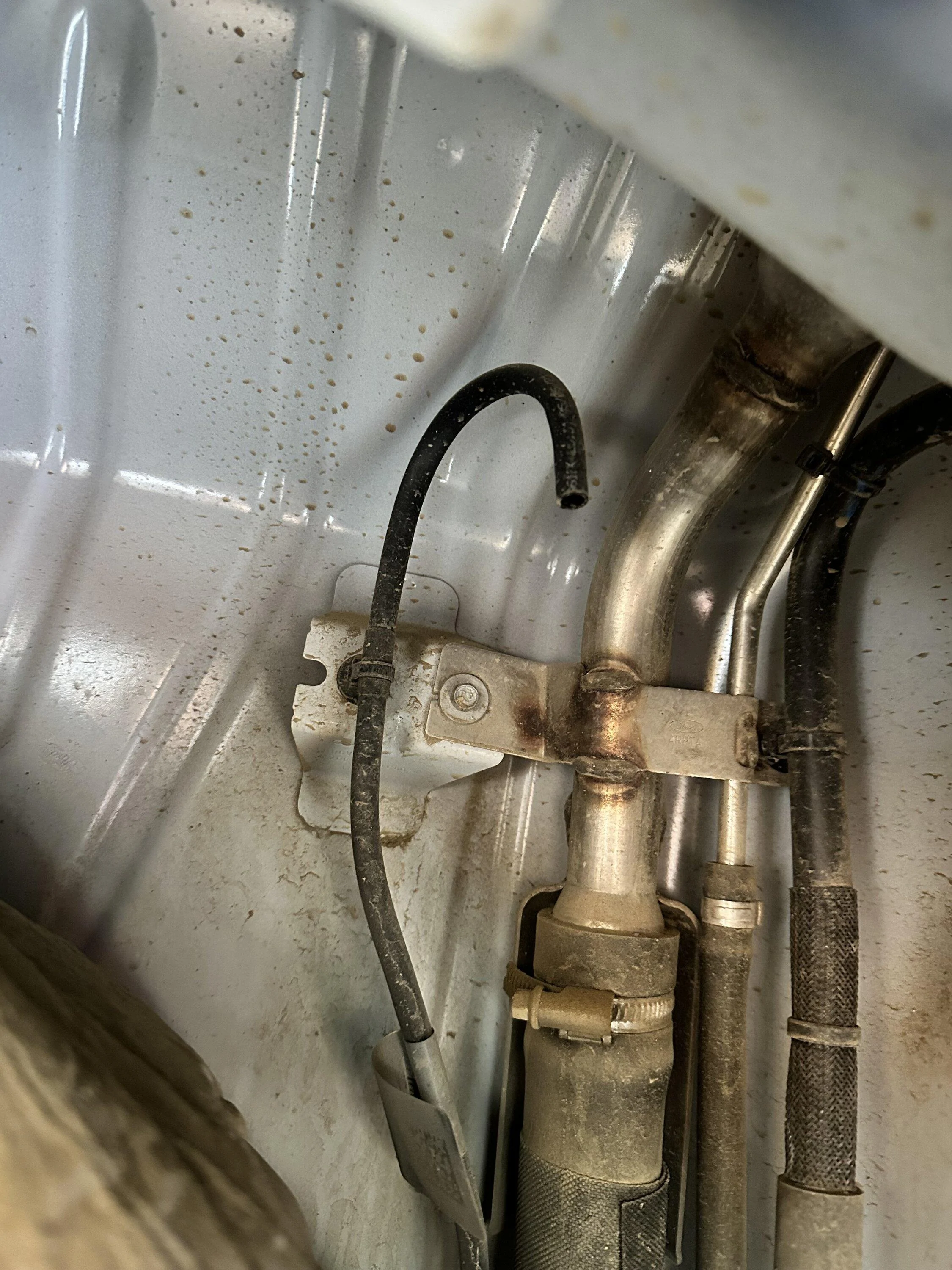 Ford Bronco Leaky rear axle? IMG_1090