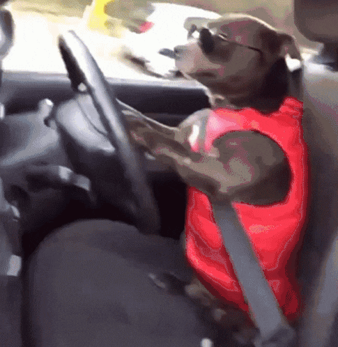 Ford Bronco Ford Patents Offroad Driving While Standing Up in Bronco dog-drivin