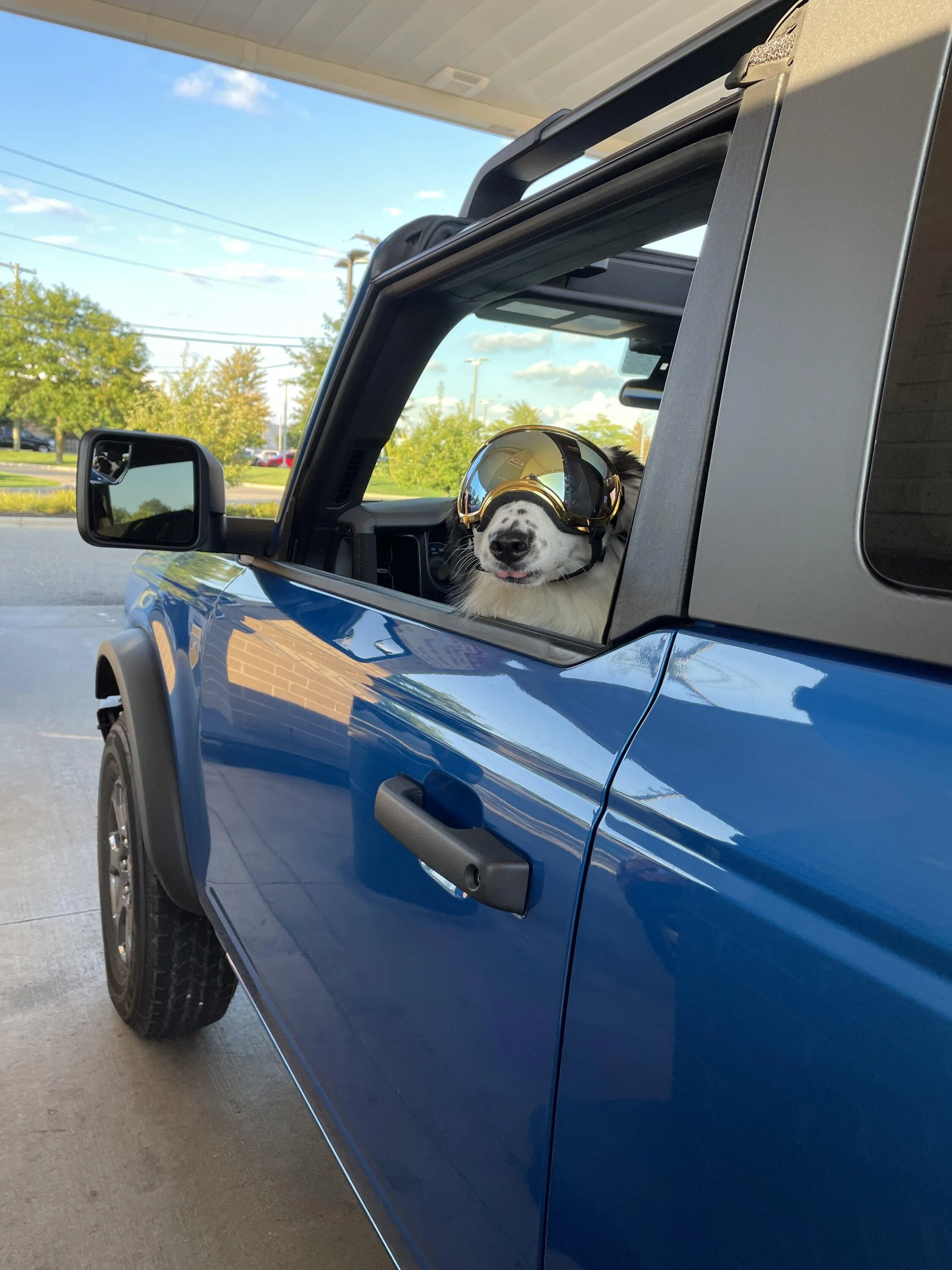 Ford Bronco Bronco Team 2 door. IMG_2306