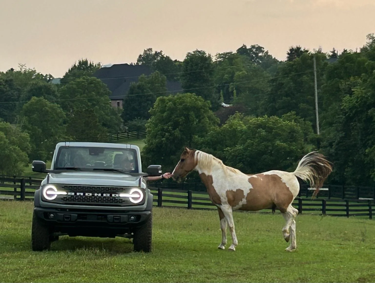 Ford Bronco I met a friend! IMG_20230707_145744