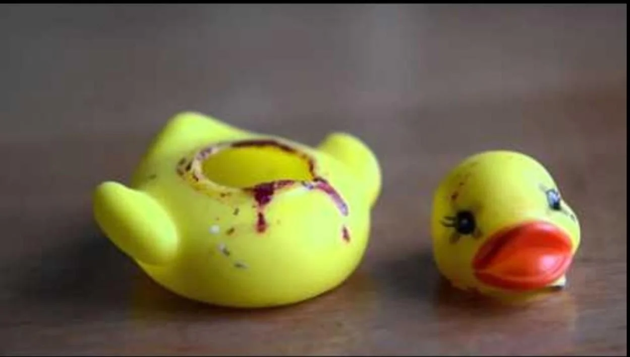 Ford Bronco How about these instead of ducks? Screenshot_20230708-140738_Googl