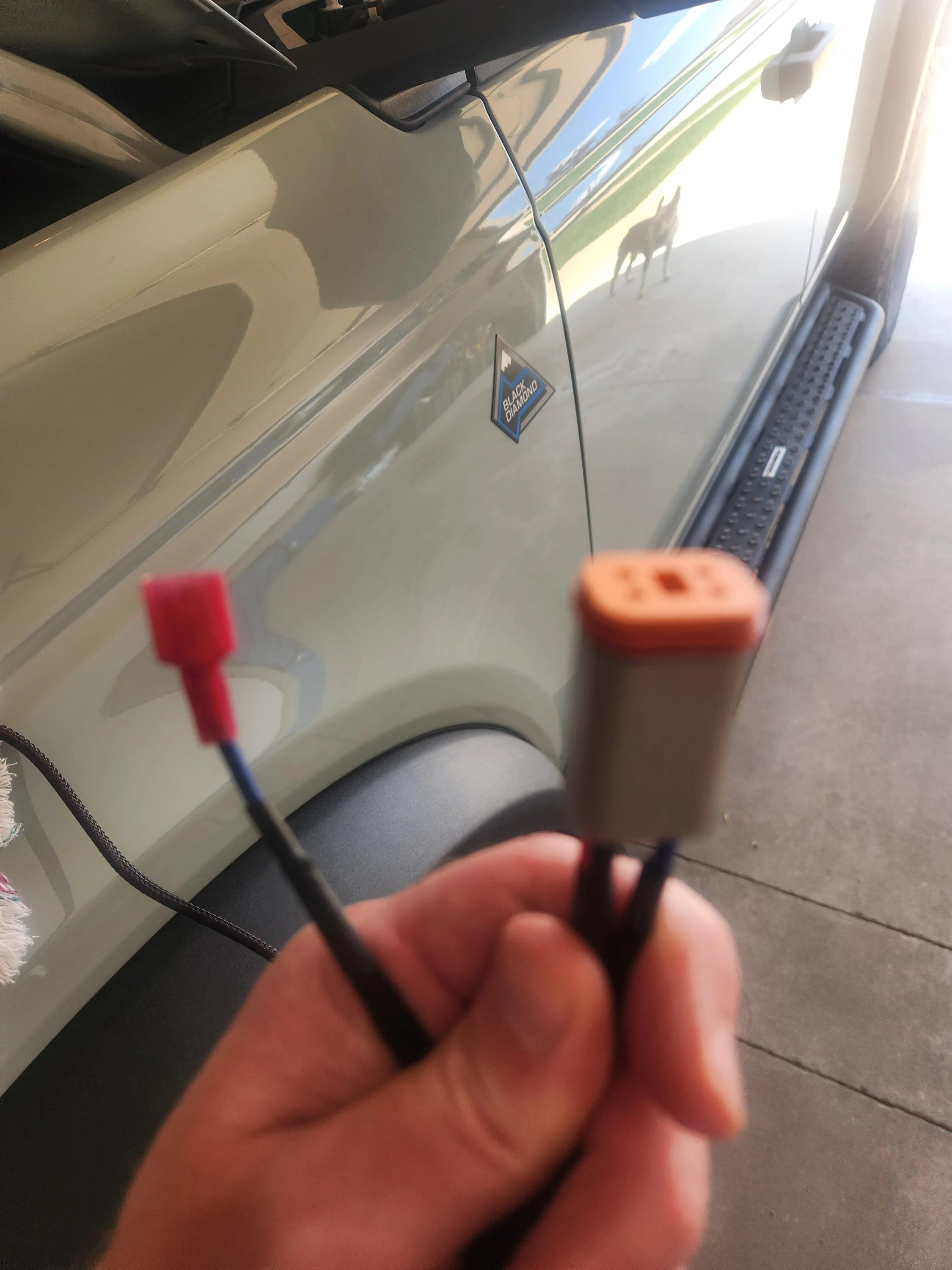 Ford Bronco Diode dynamics ditch light QUESTION 16888423743918285882842442150221
