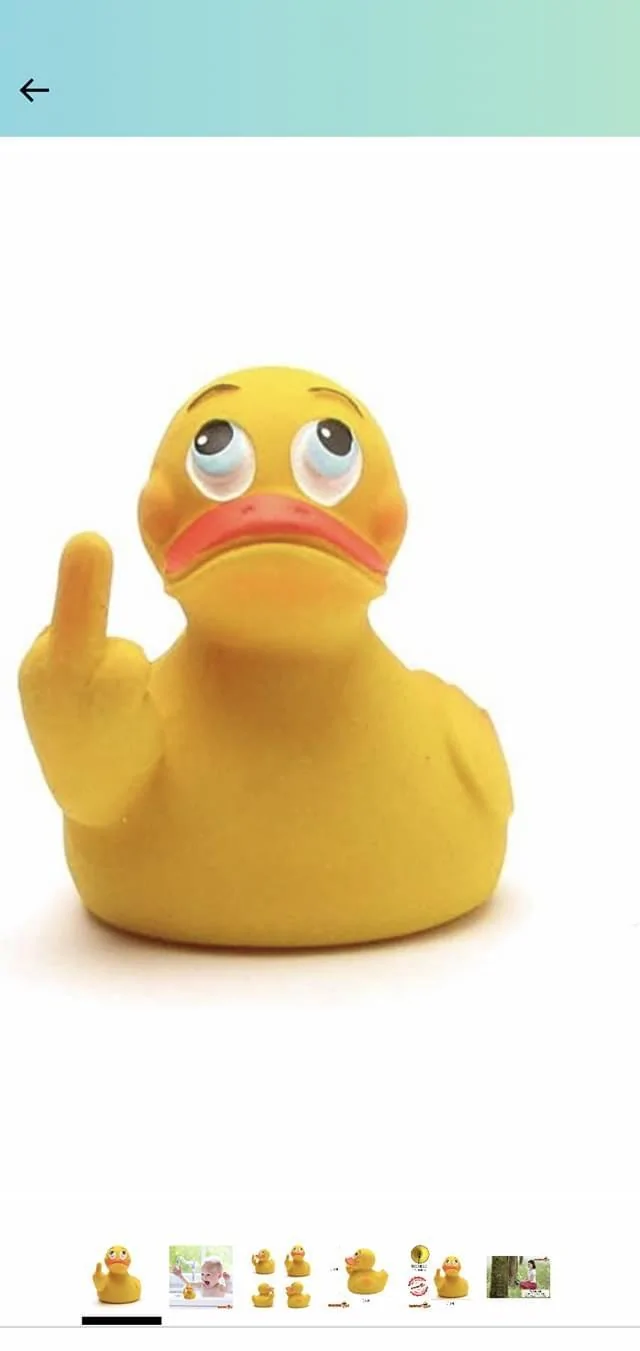 Ford Bronco How about these instead of ducks? A880F20B-BFEF-4275-86D3-51572890E8E6