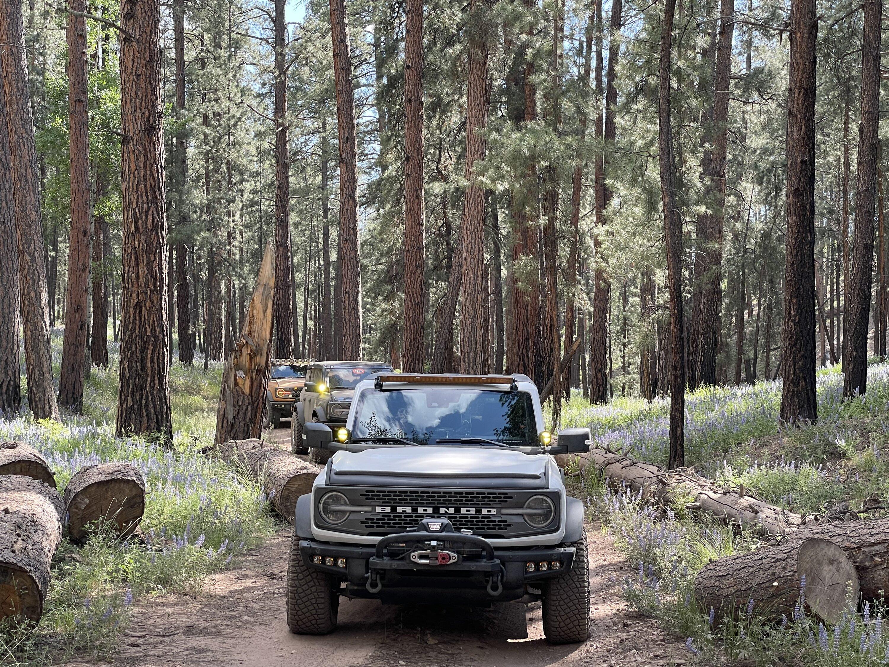 Ford Bronco Broncos on the trails in Arizona GC6