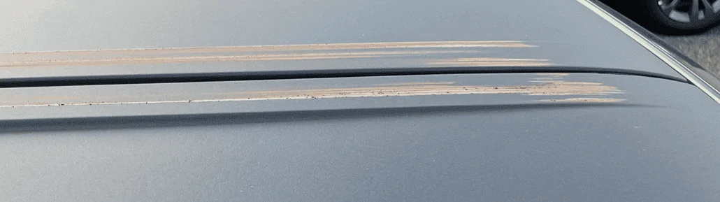 Ford Bronco First time I've seen this. (shipping damage) 1689269932830