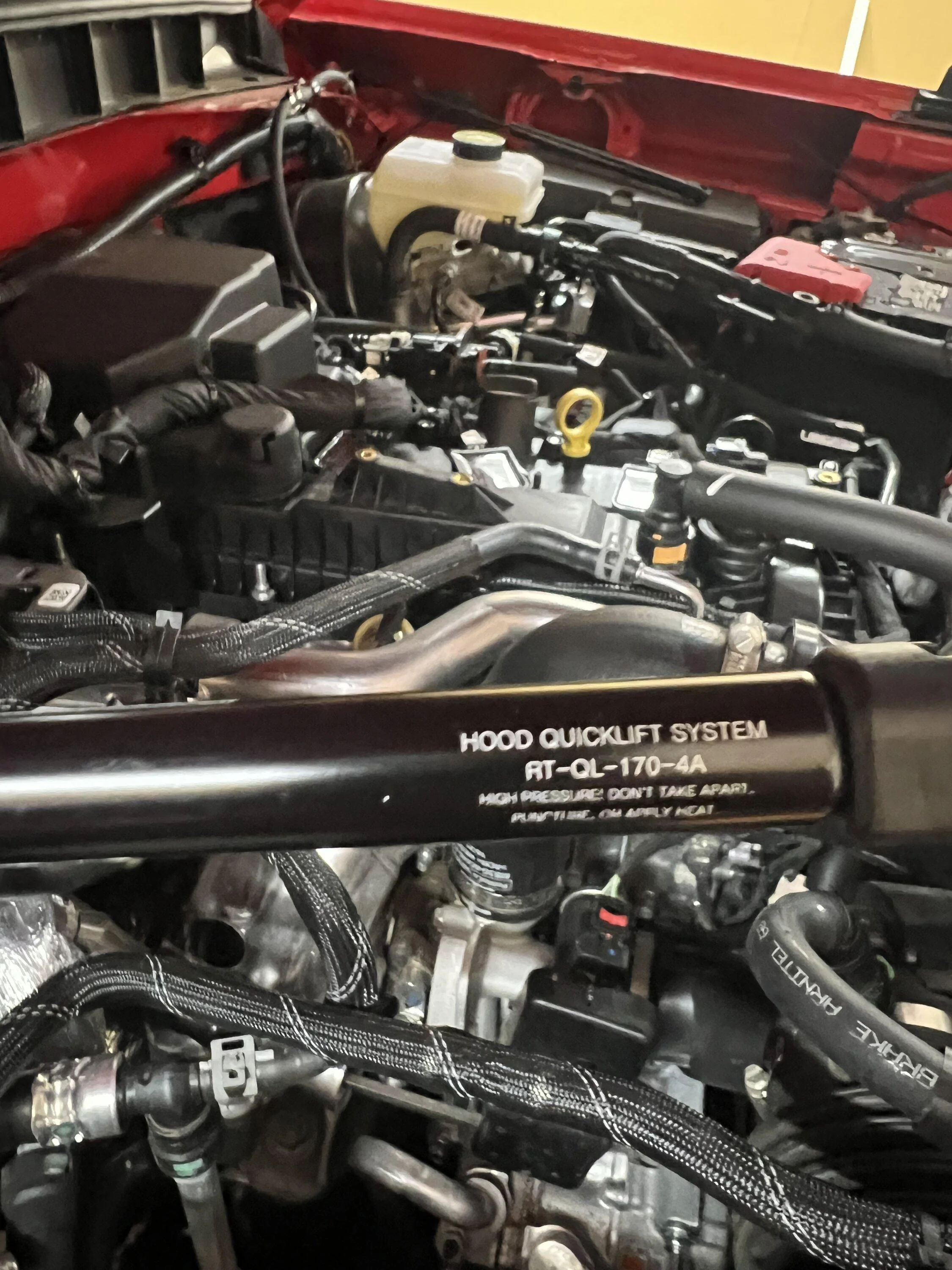 Ford Bronco Got hood struts? IMG_3105