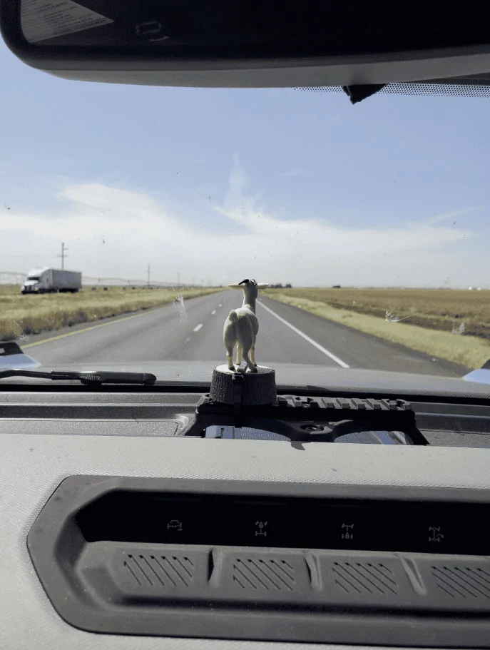 Ford Bronco 9 Day 3,500-mile Road Trip w/ the Family (Yellowstone, Mr. Rushmore, Badlands, and more) Screenshot 2023-07-17 131129