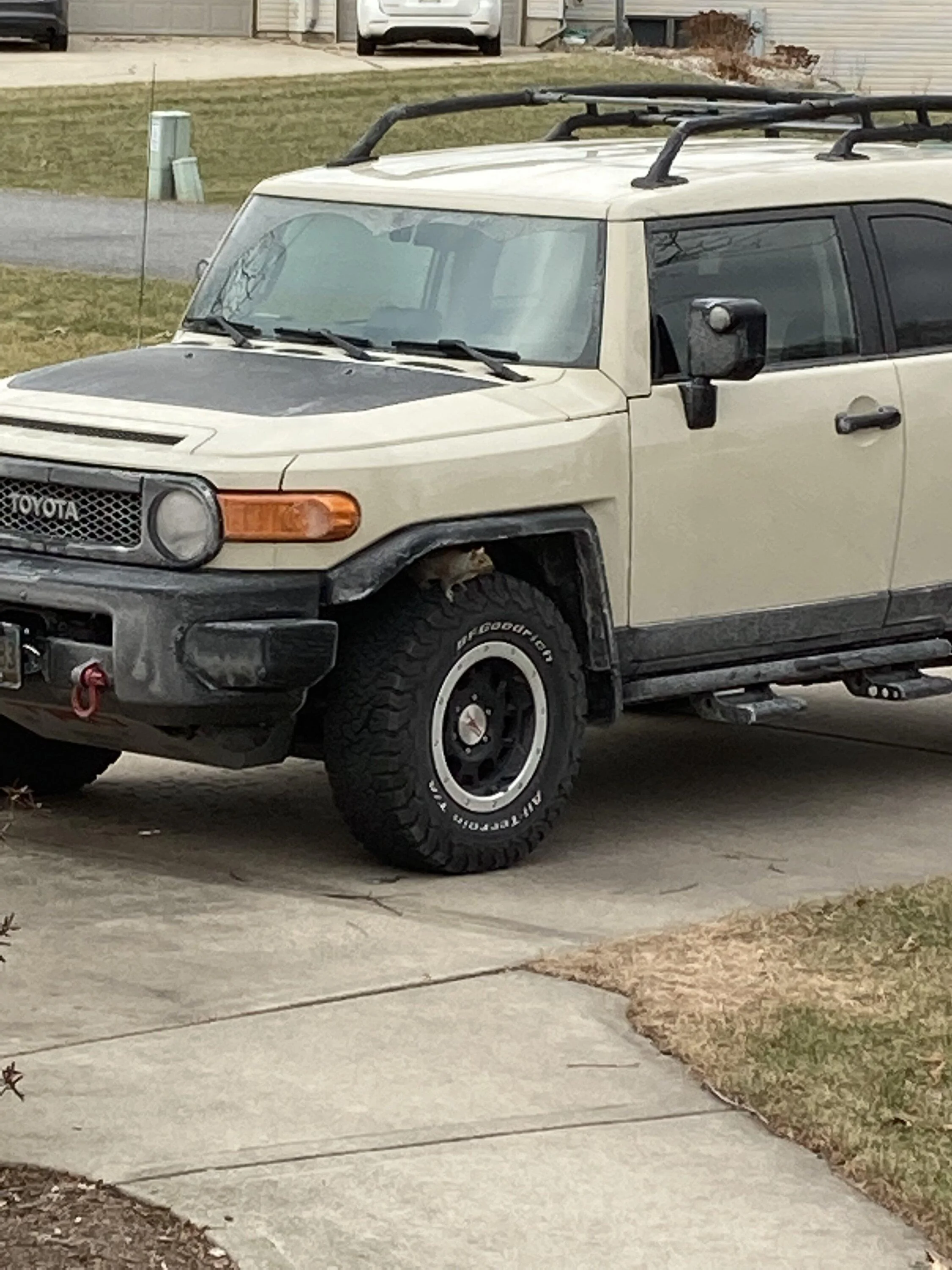 IMG_1581.jpeg