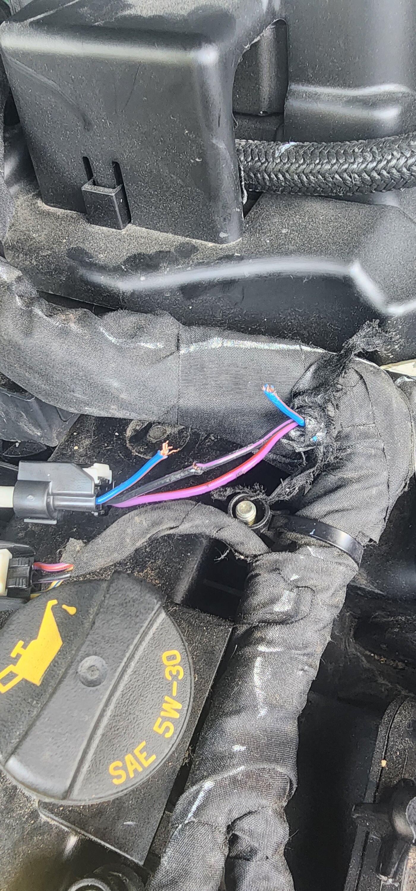 Ford Bronco Coil failure 8k miles in. 1000024594