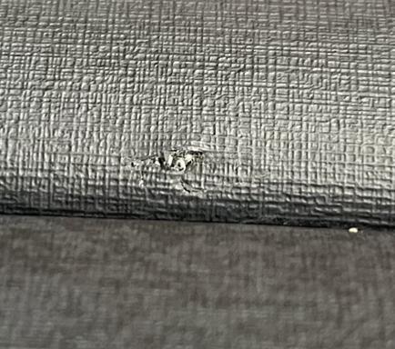 Ford Bronco Rear Seat Defect IMG_0488