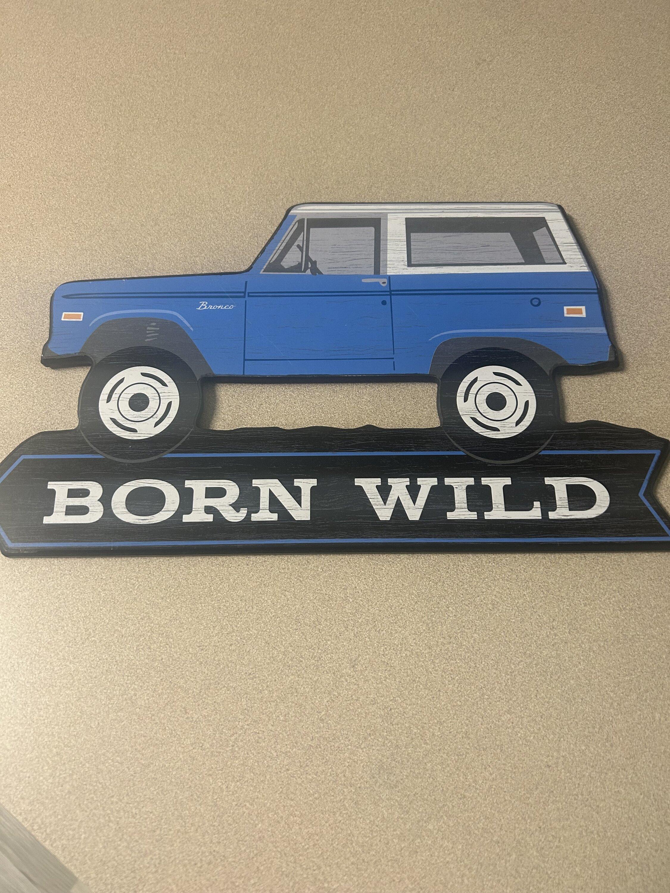 Ford Bronco Latest garage art find IMG_5438