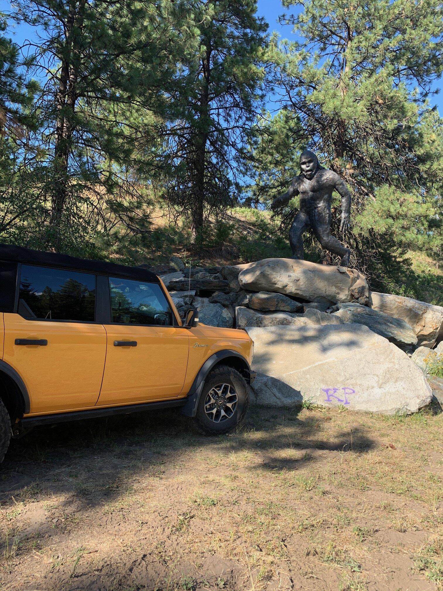 Ford Bronco Sasquatch sighting ! IMG_7378