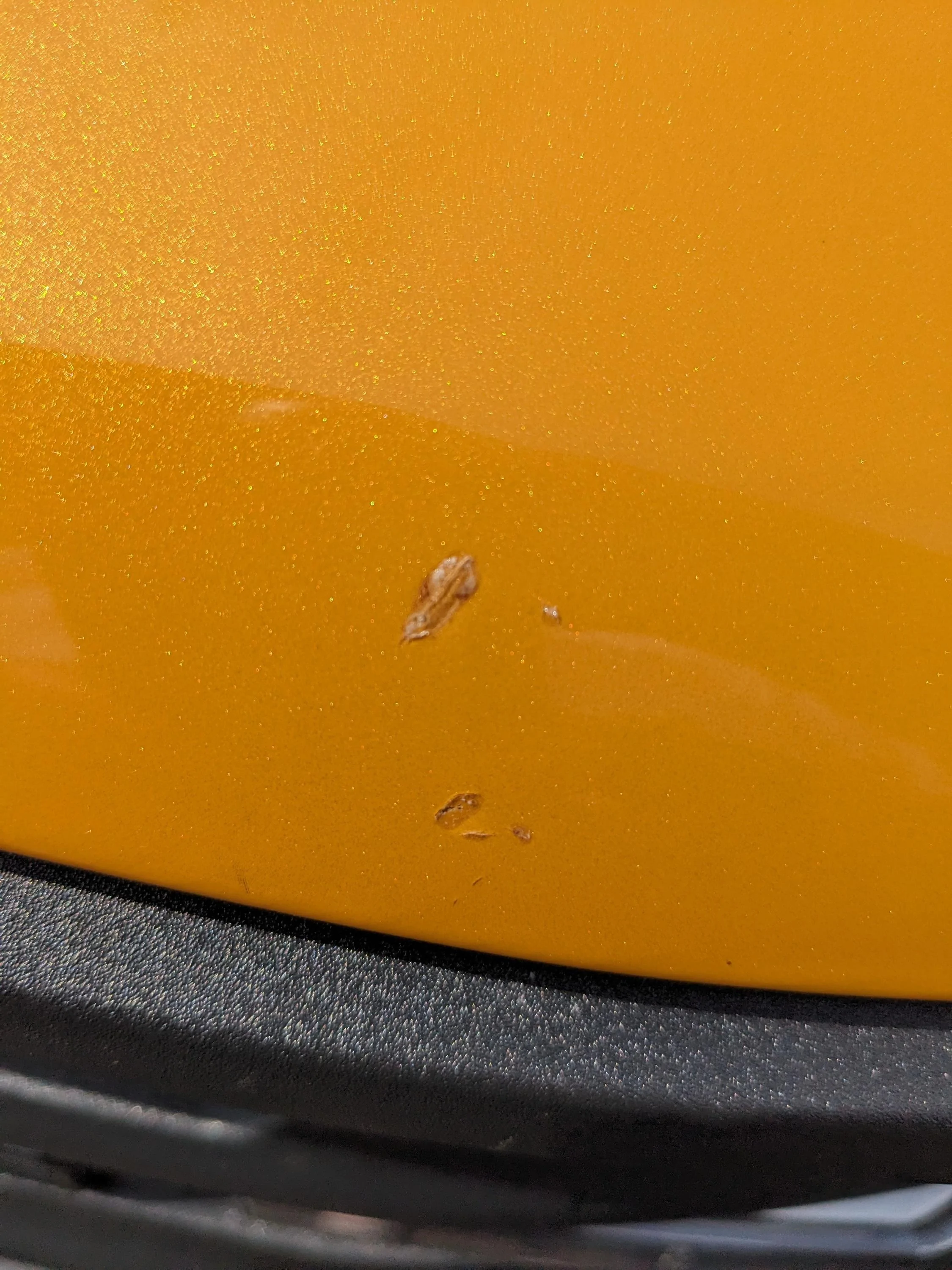 Ford Bronco PPF or save for other mods? 9TB0Gy