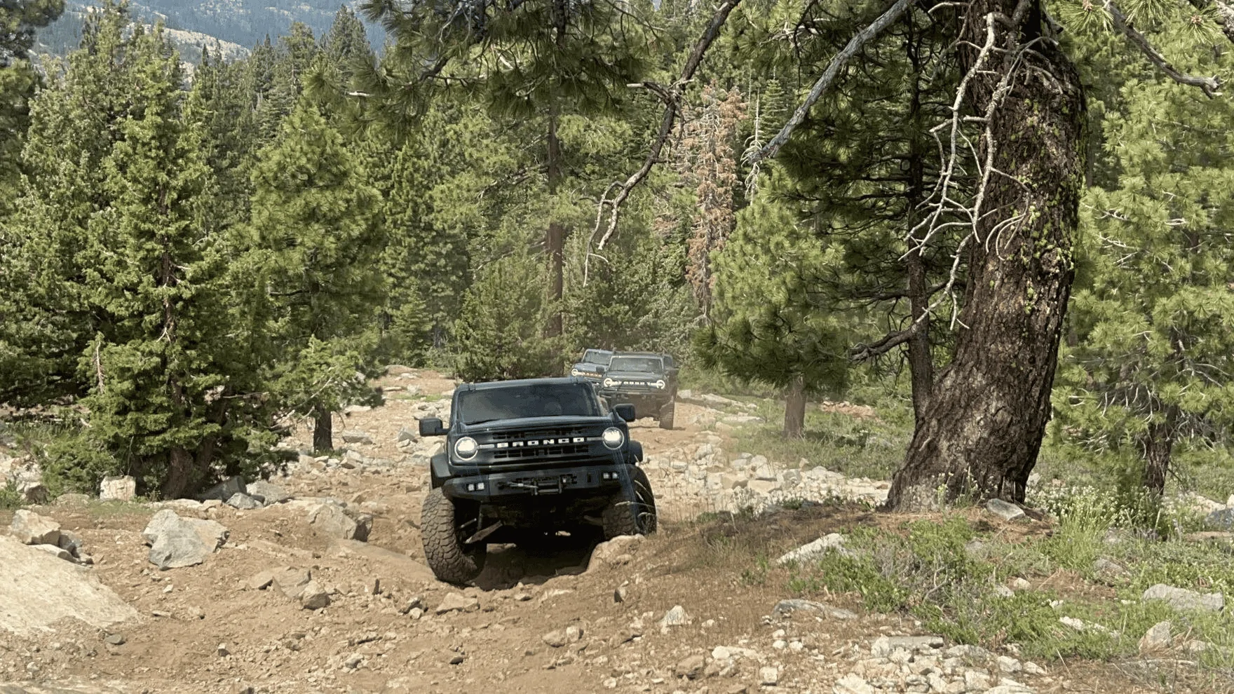 Ford Bronco Snacktime's Broken Bronco Build 1690222811621