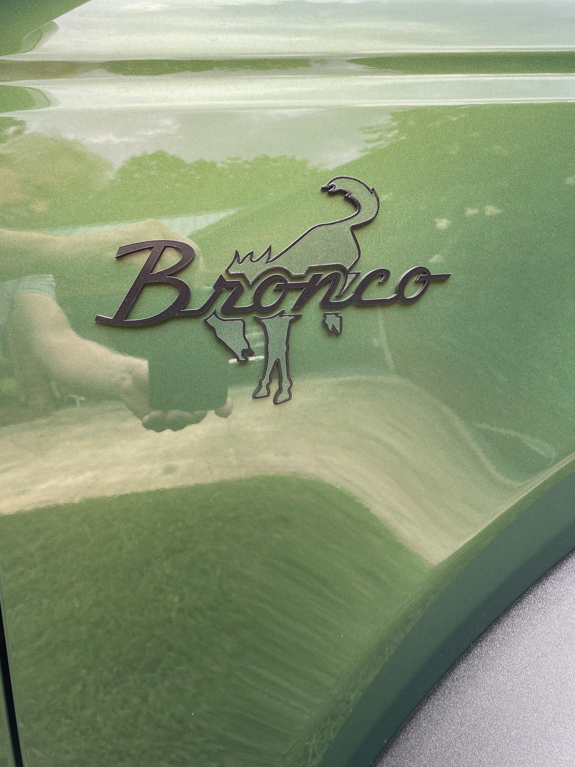 Ford Bronco AR | BRONCO CLASSIC DNA Fender Badge IMG_1998.JPG