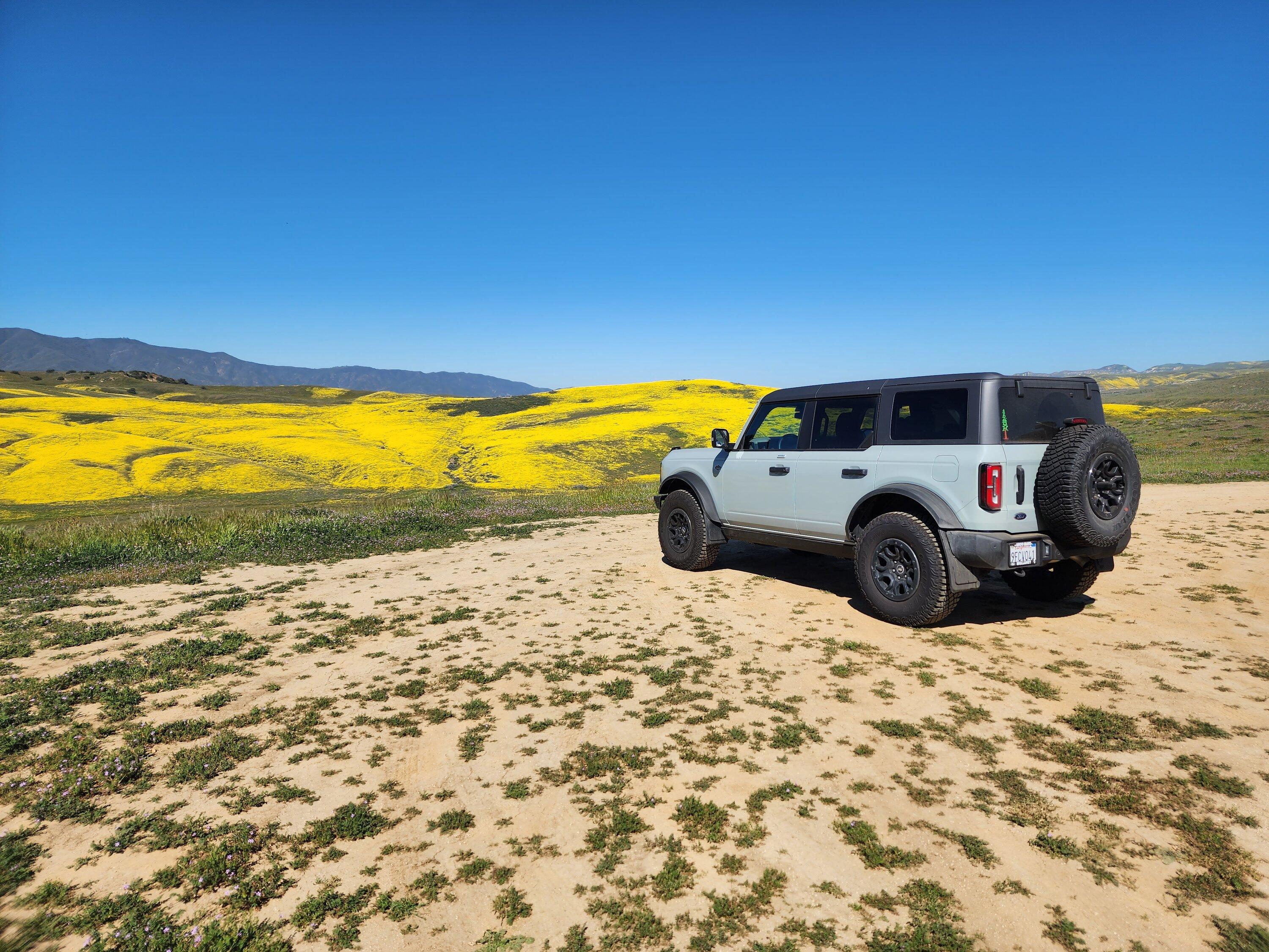 Ford Bronco Saved a Raptor this weekend at Oceano/Pismo Dunes 20230410_102258