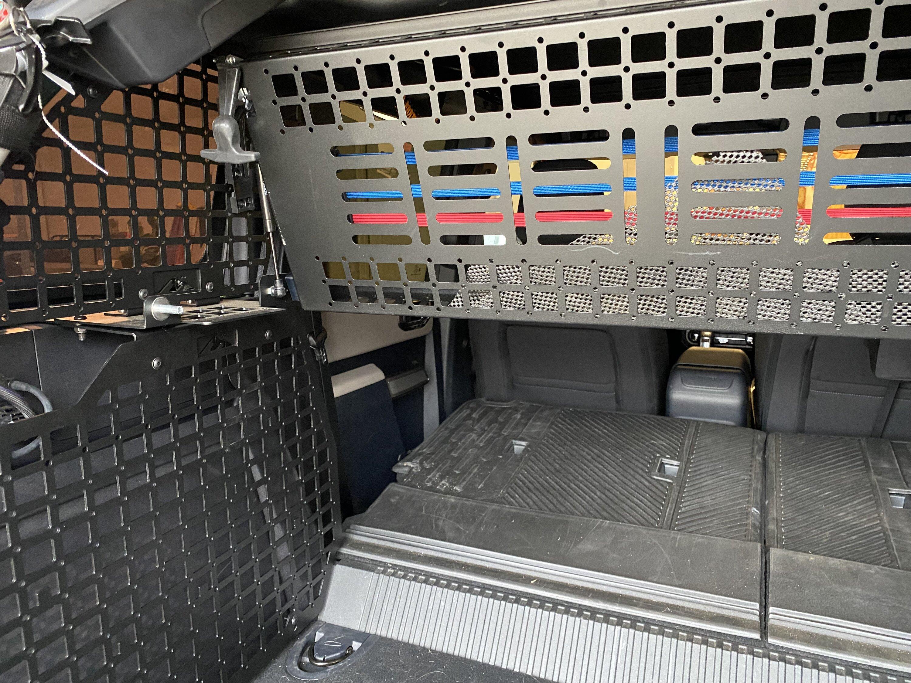Ford Bronco Rear Molle Panels (M2M?) IMG_3165