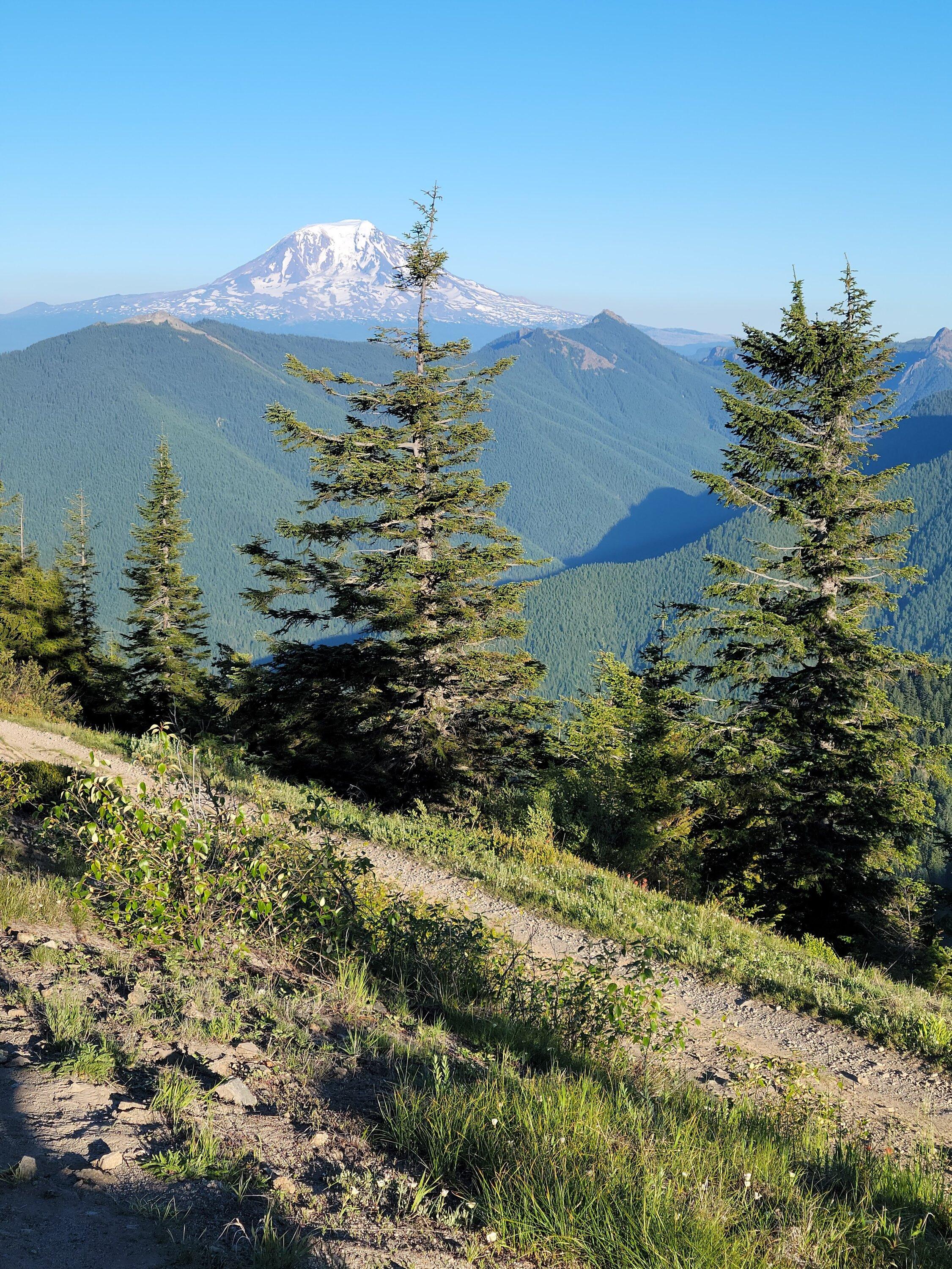 Ford Bronco Trip to Gifford Pinchot National Forest 20230702_193317