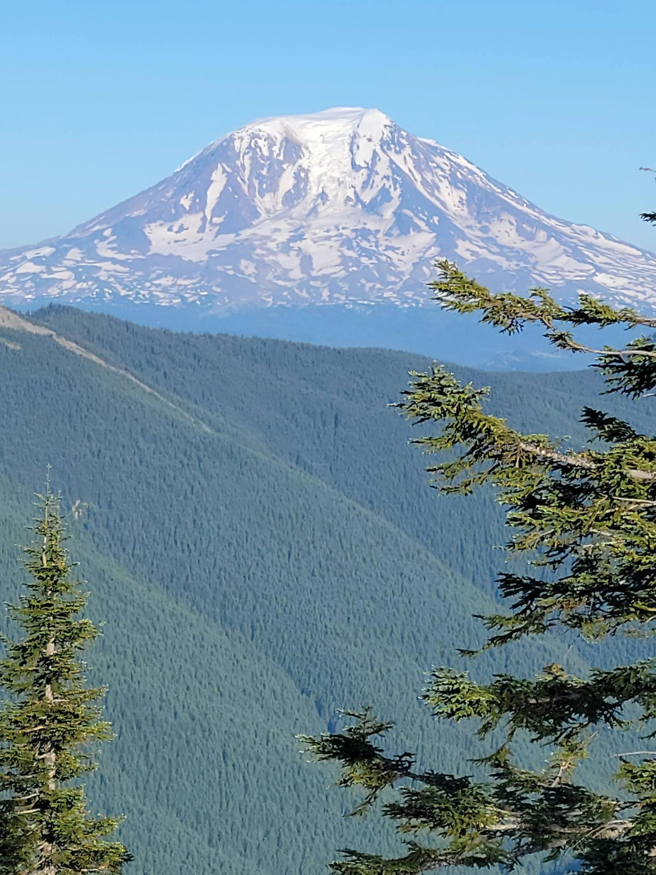 Ford Bronco Trip to Gifford Pinchot National Forest 20230702_193404