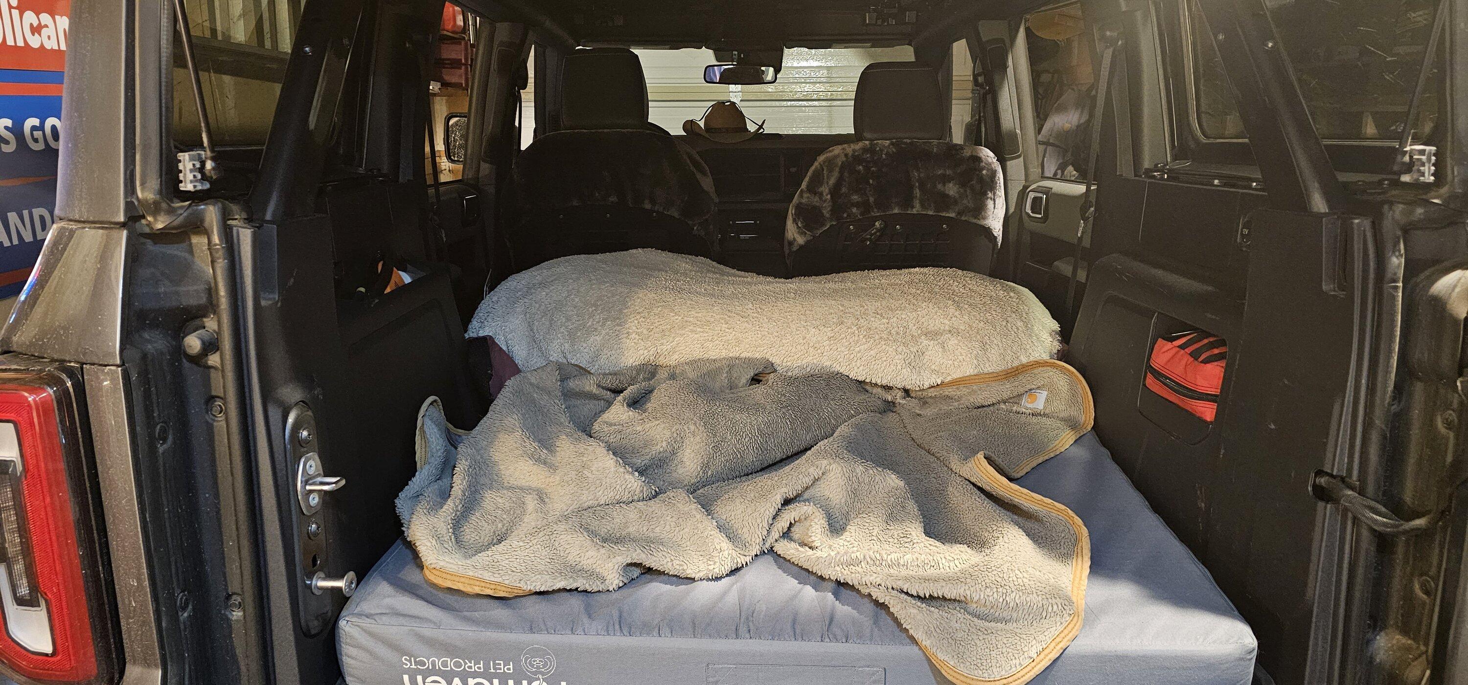 Ford Bronco Taking large dogs on long trips? 20230807_023722