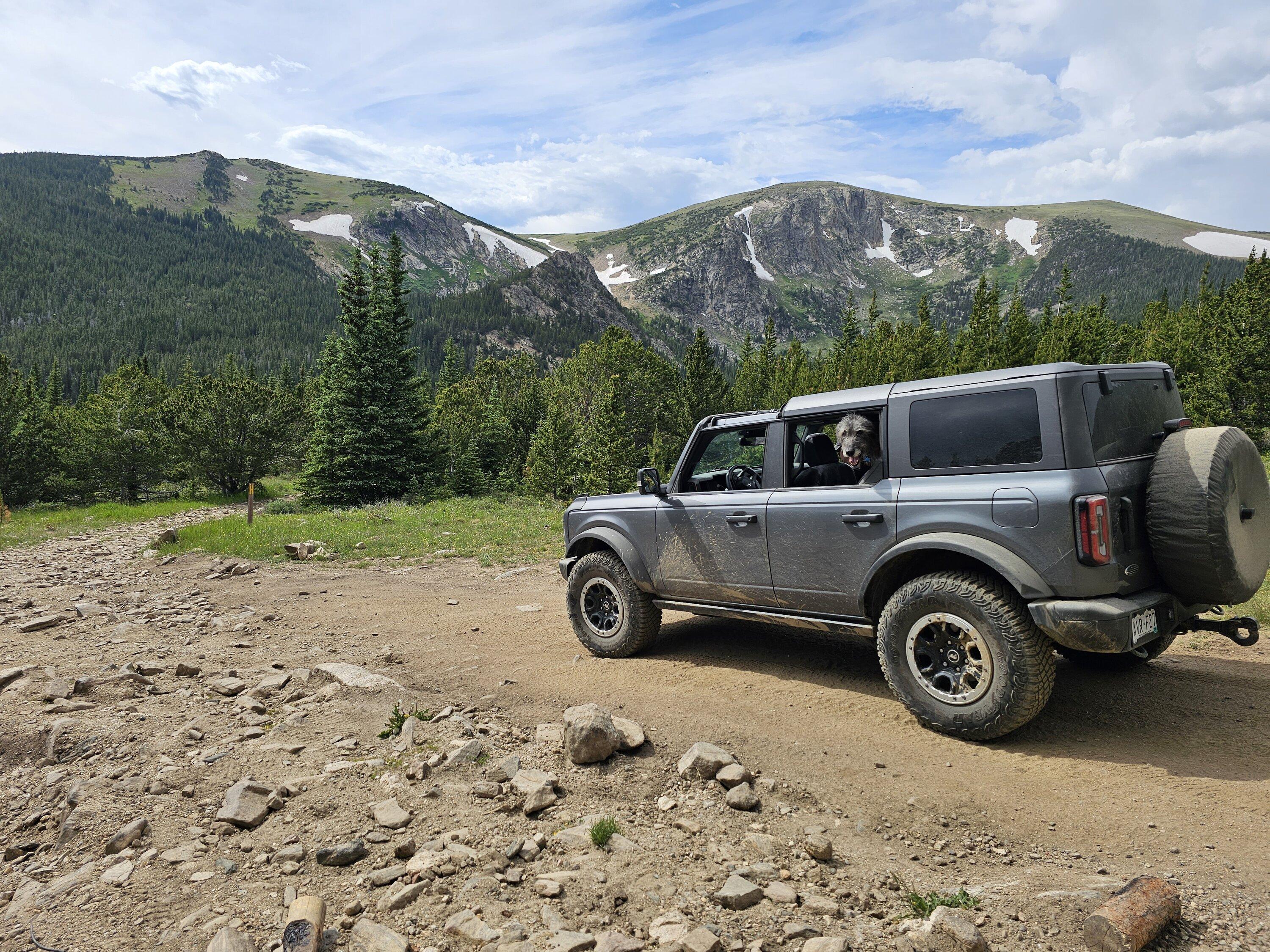 Ford Bronco Taking large dogs on long trips? 20230717_162602
