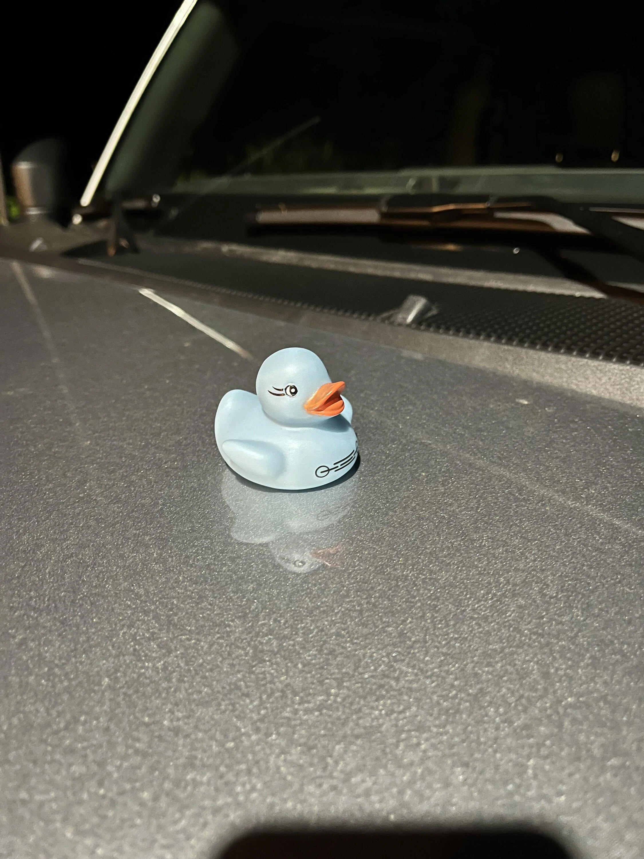 Ford Bronco Bronco Duck? IMG_1658