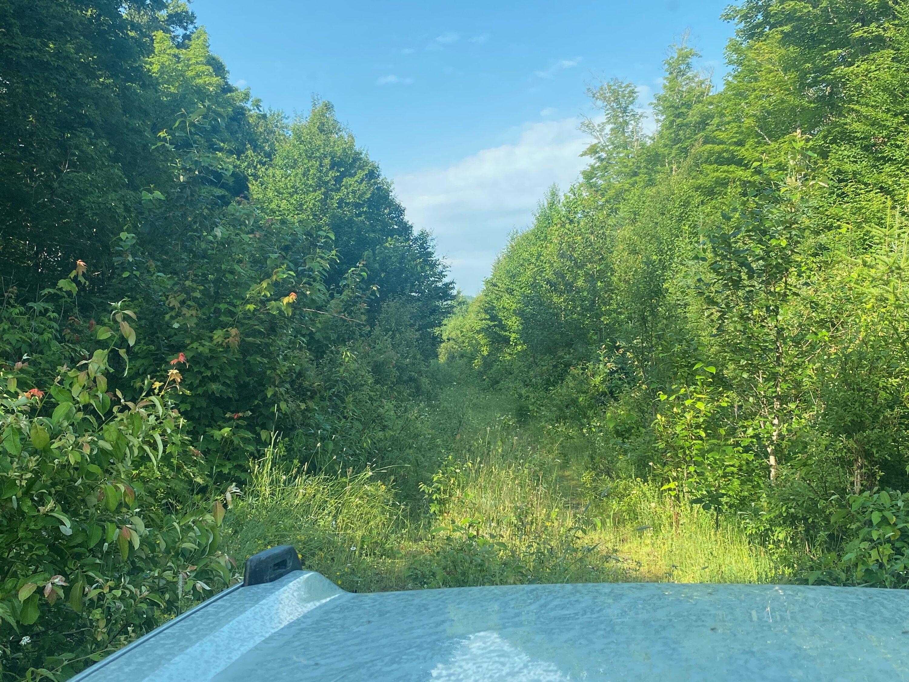 Ford Bronco 5 Day Overland into the North Maine Woods. IMG_1991