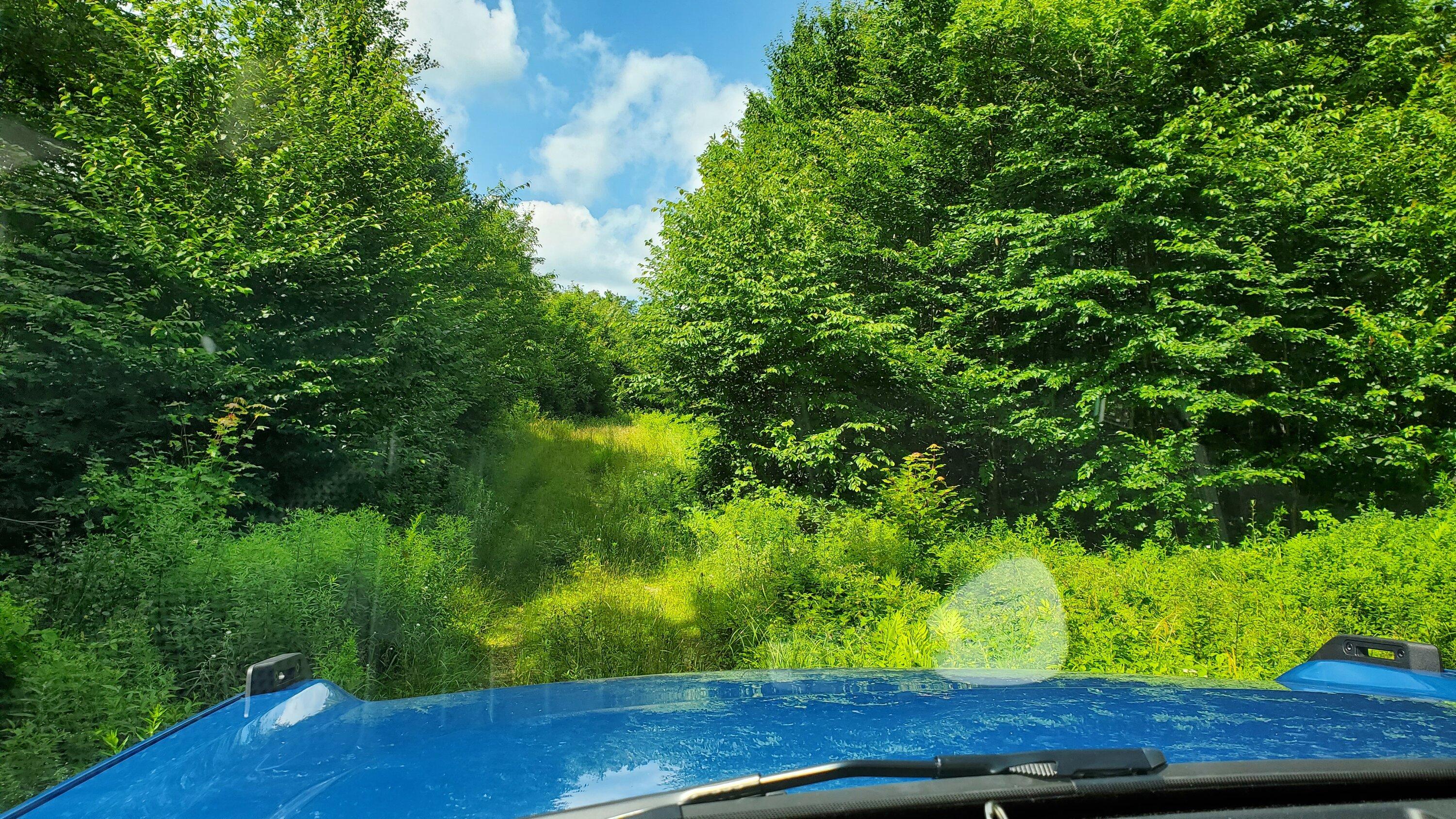 Ford Bronco 5 Day Overland into the North Maine Woods. 20230730_150535