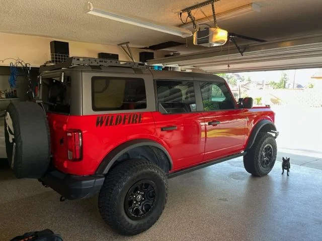 Ford Bronco Show us your graphics IMG_3701