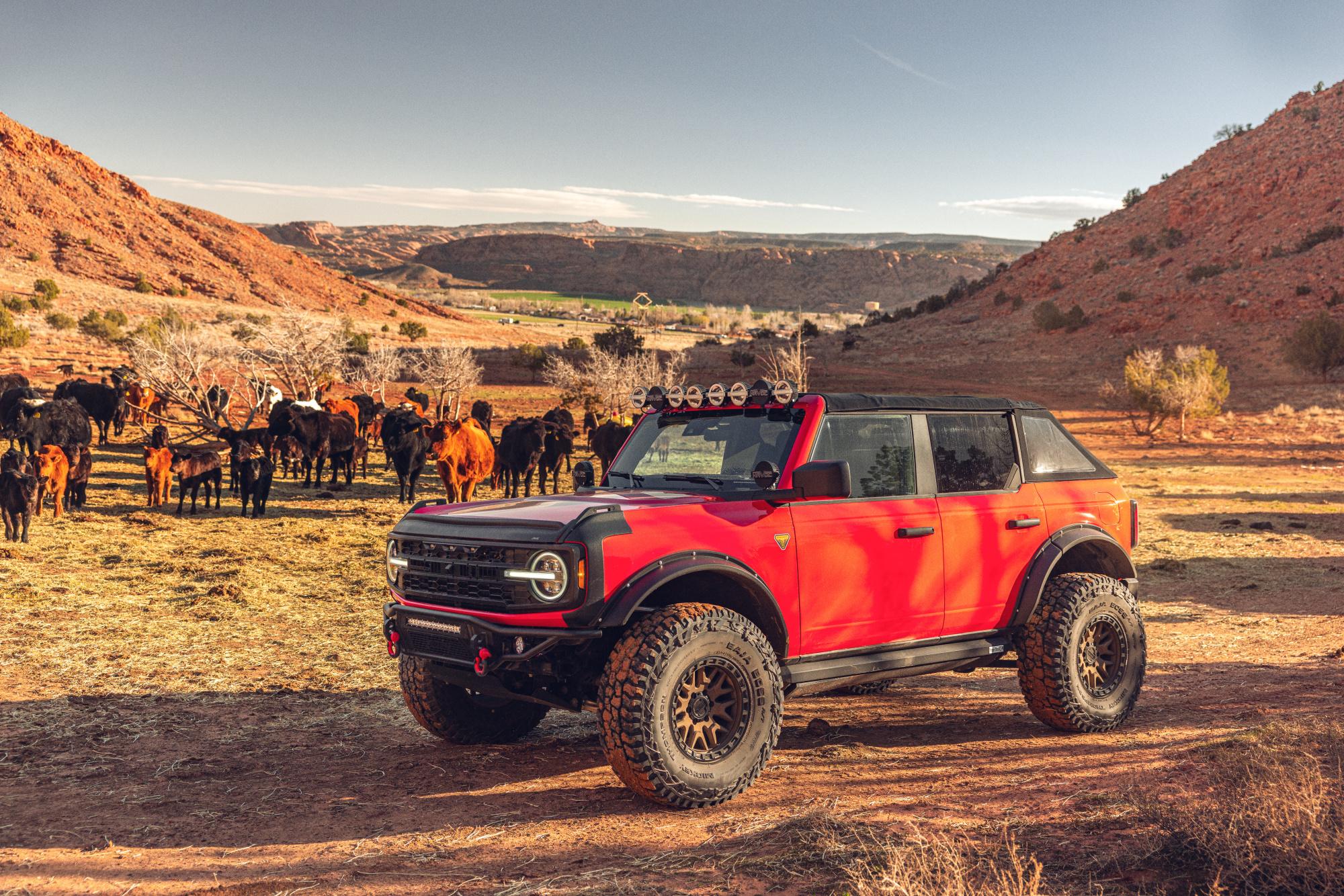 Ford Bronco HAVOC EVOC Retro Fender Flares for the Modern Bronco 1692027862848