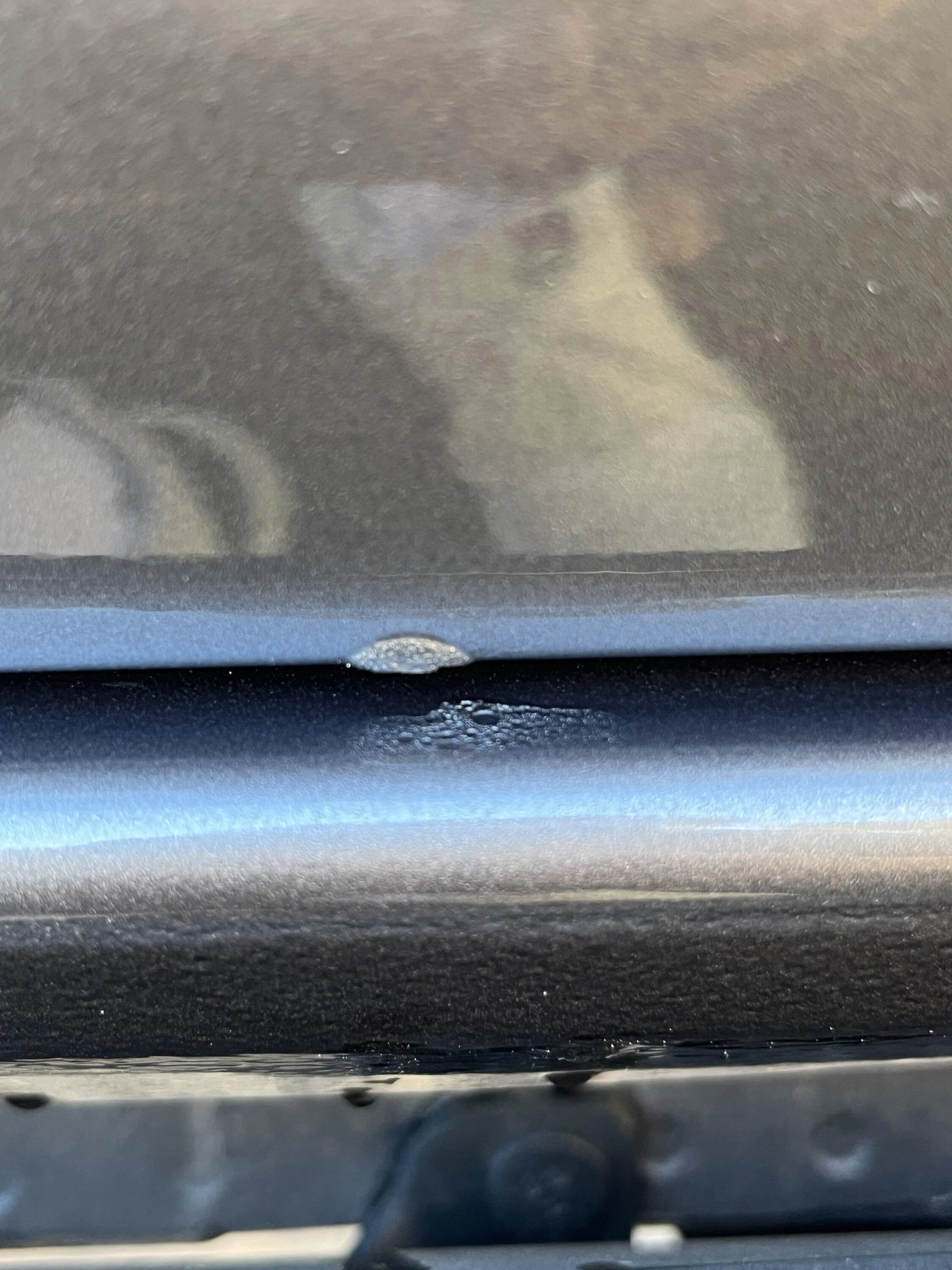 Ford Bronco Bubbling/Peeling Paint - Less Than a Month Owned IMG_0669