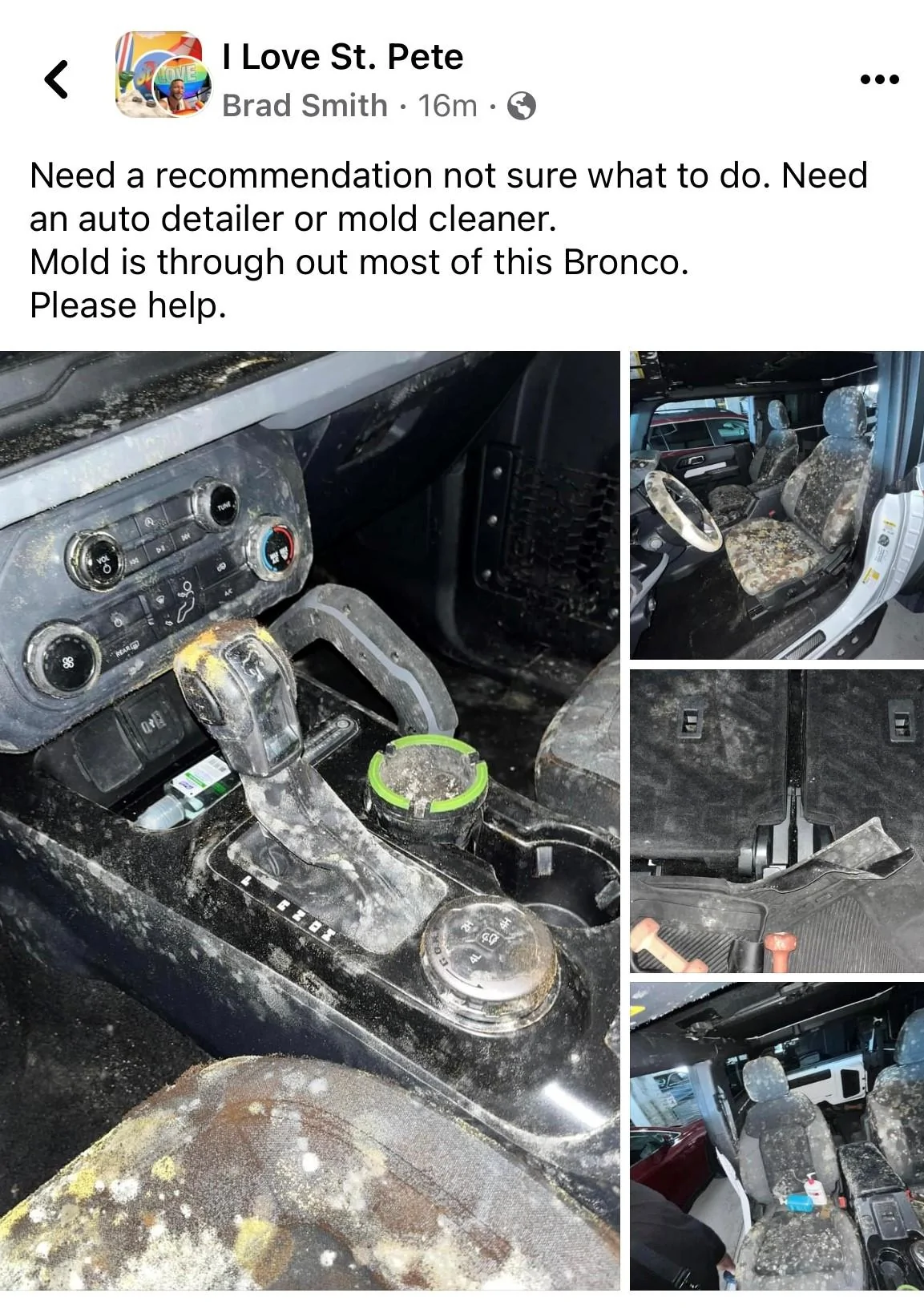 Ford Bronco Moldy Bronco Moldy Bronco