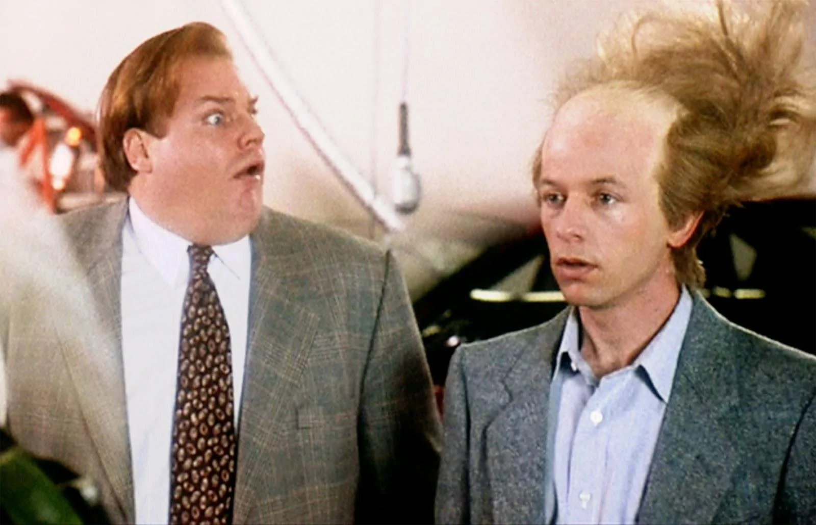 TommyBoy_260Pyxurz.jpg