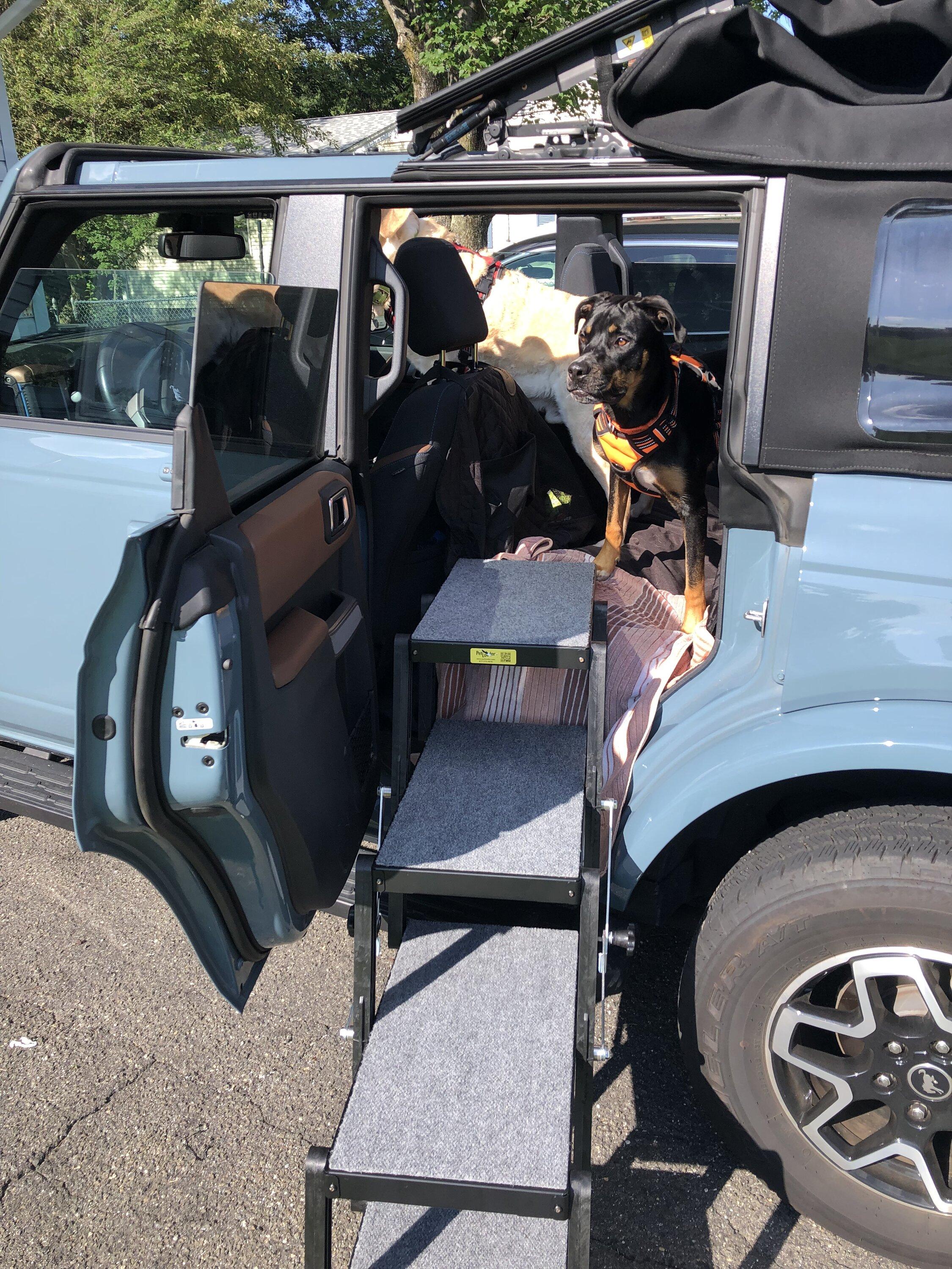 Ford Bronco Dogs Getting In and Out Pet Loader 1