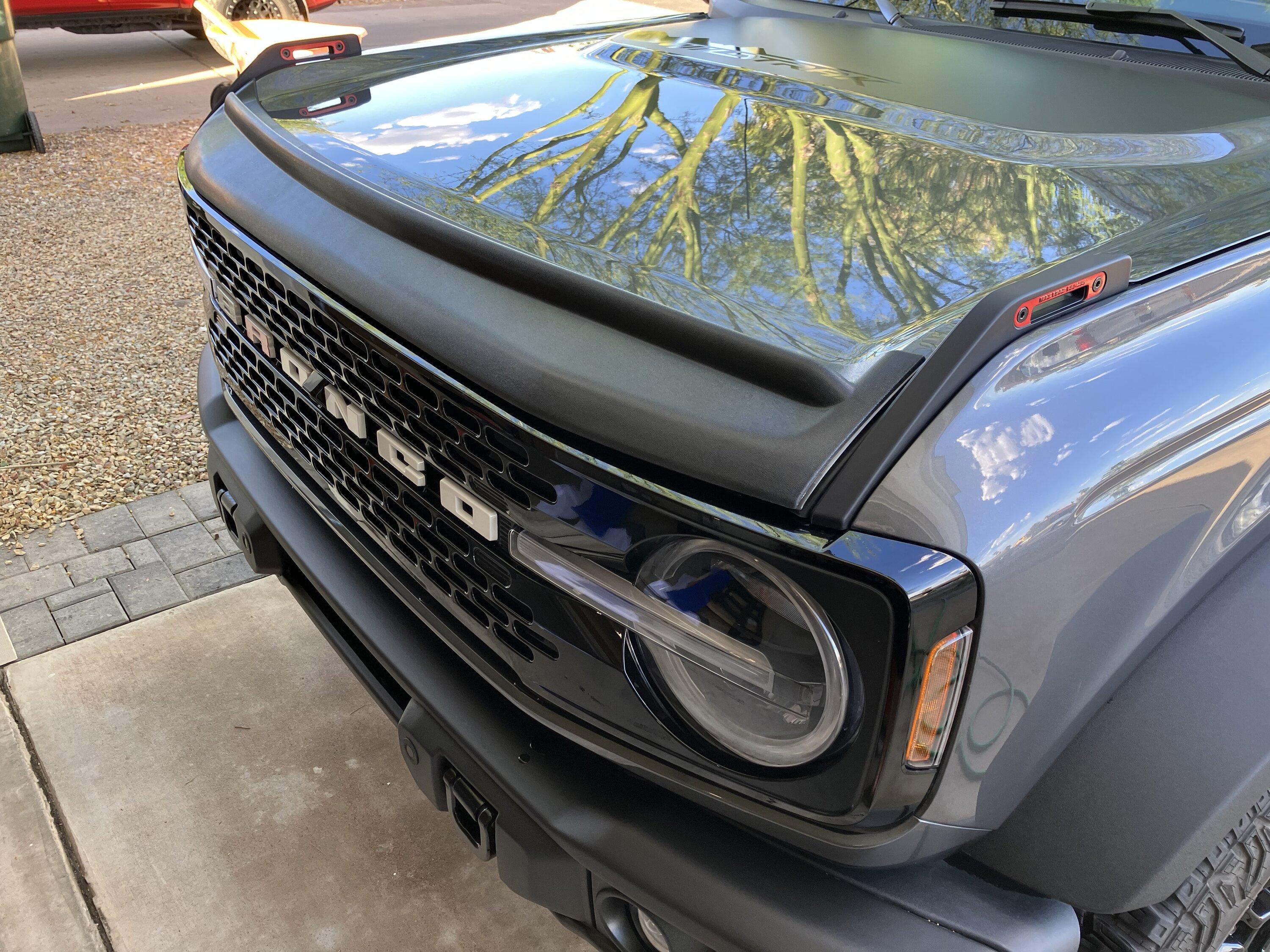 bug and rock deflector.JPG
