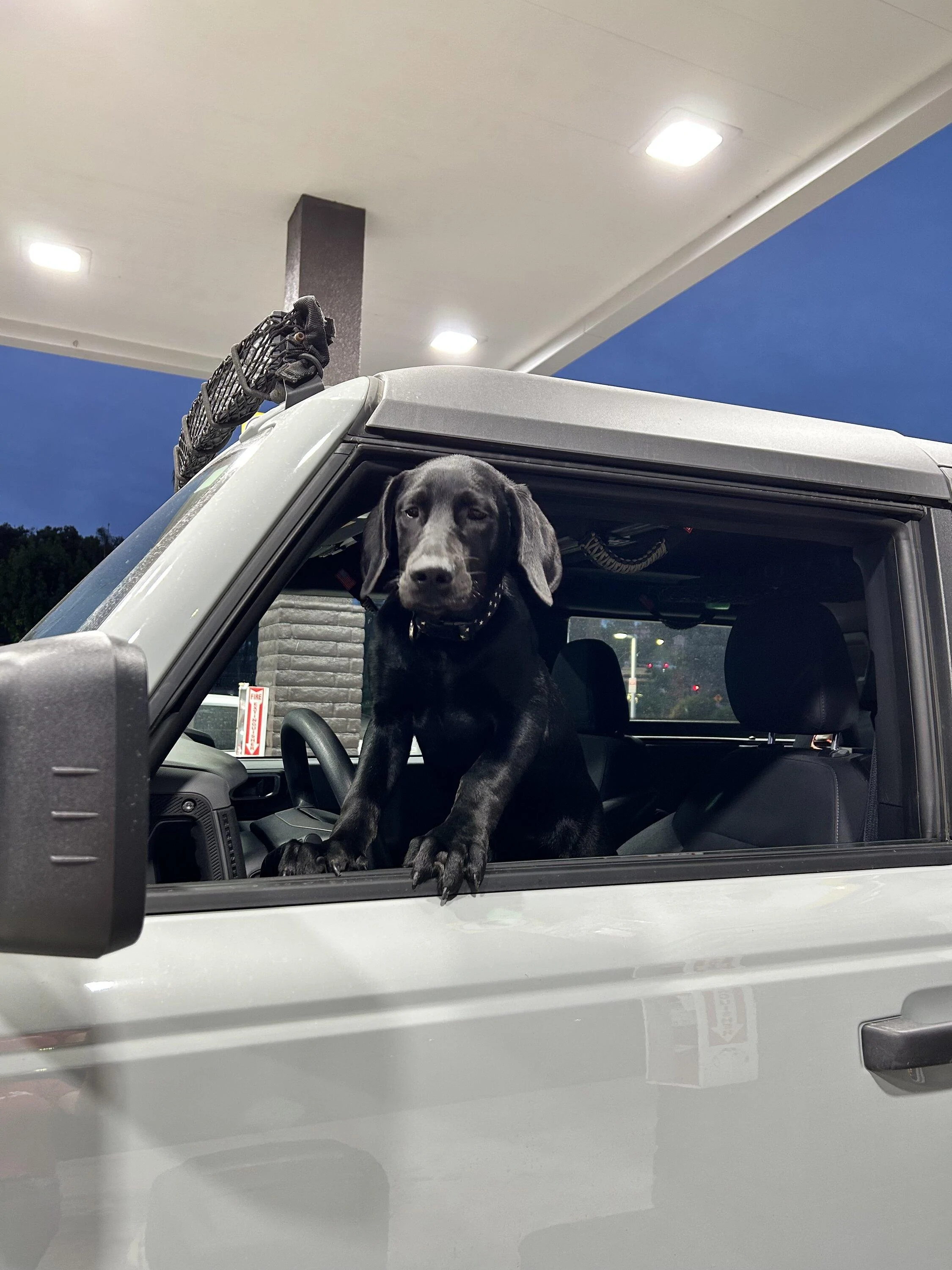 Ford Bronco What did you do TO / WITH your Bronco today? 👨🏻‍🔧🧰🚿🛠 IMG_7616