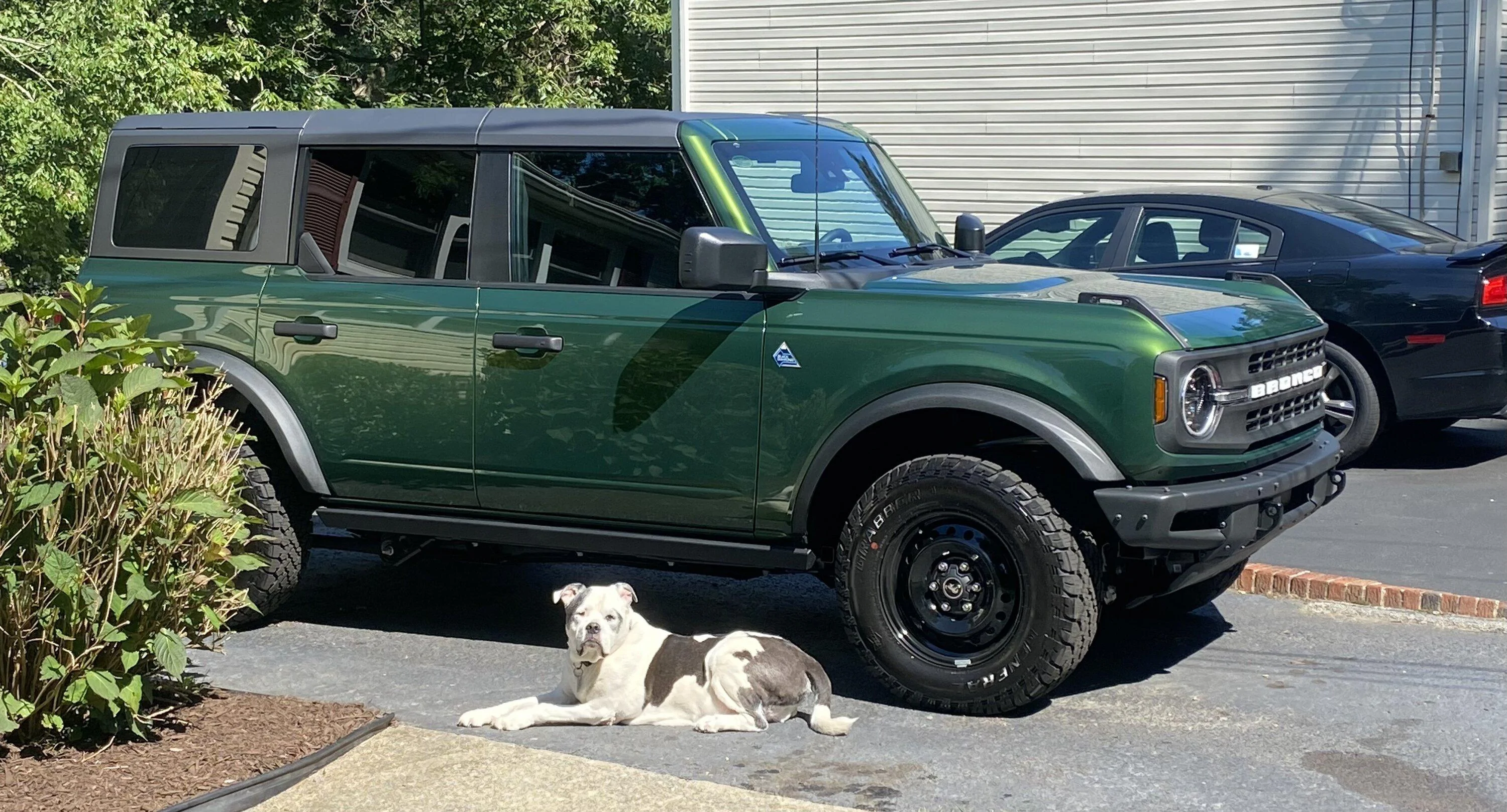 Ford Bronco 7/24/23 Build Week IMG_1684
