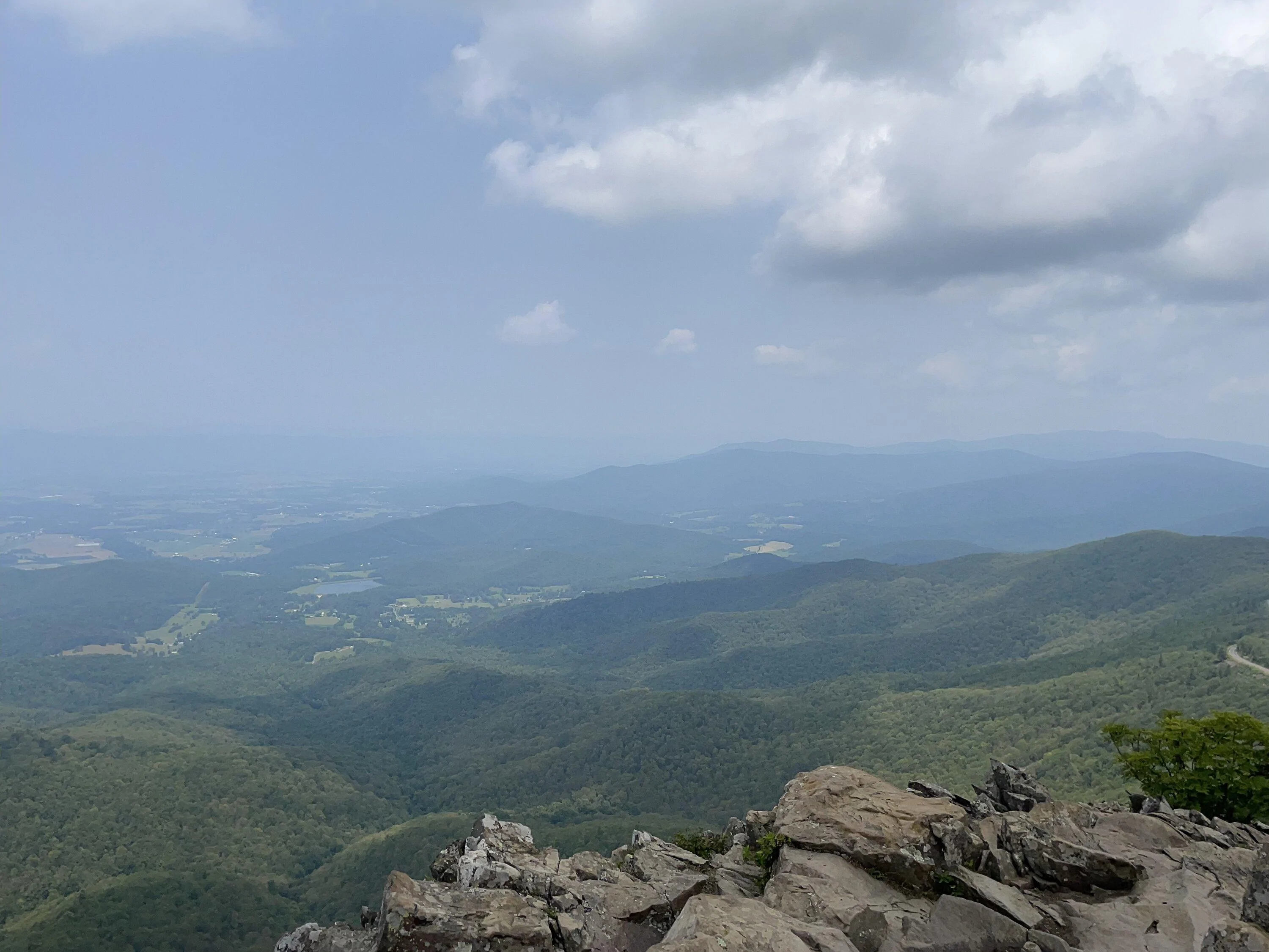 Mountains and Grass 2.webp