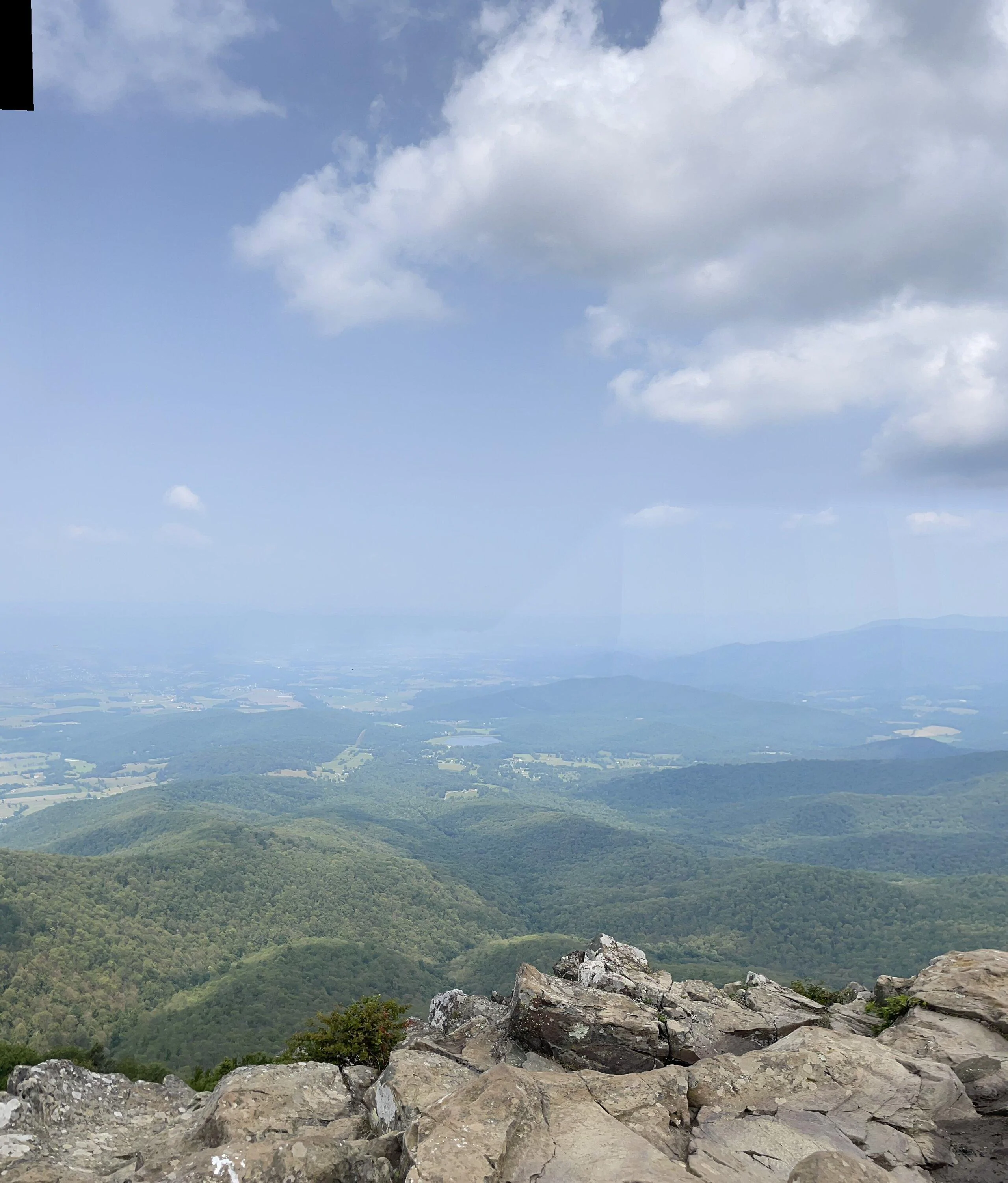 Mountains and Grass 3.webp