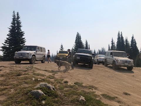 Ford Bronco Taking large dogs on long trips? IMG_2385